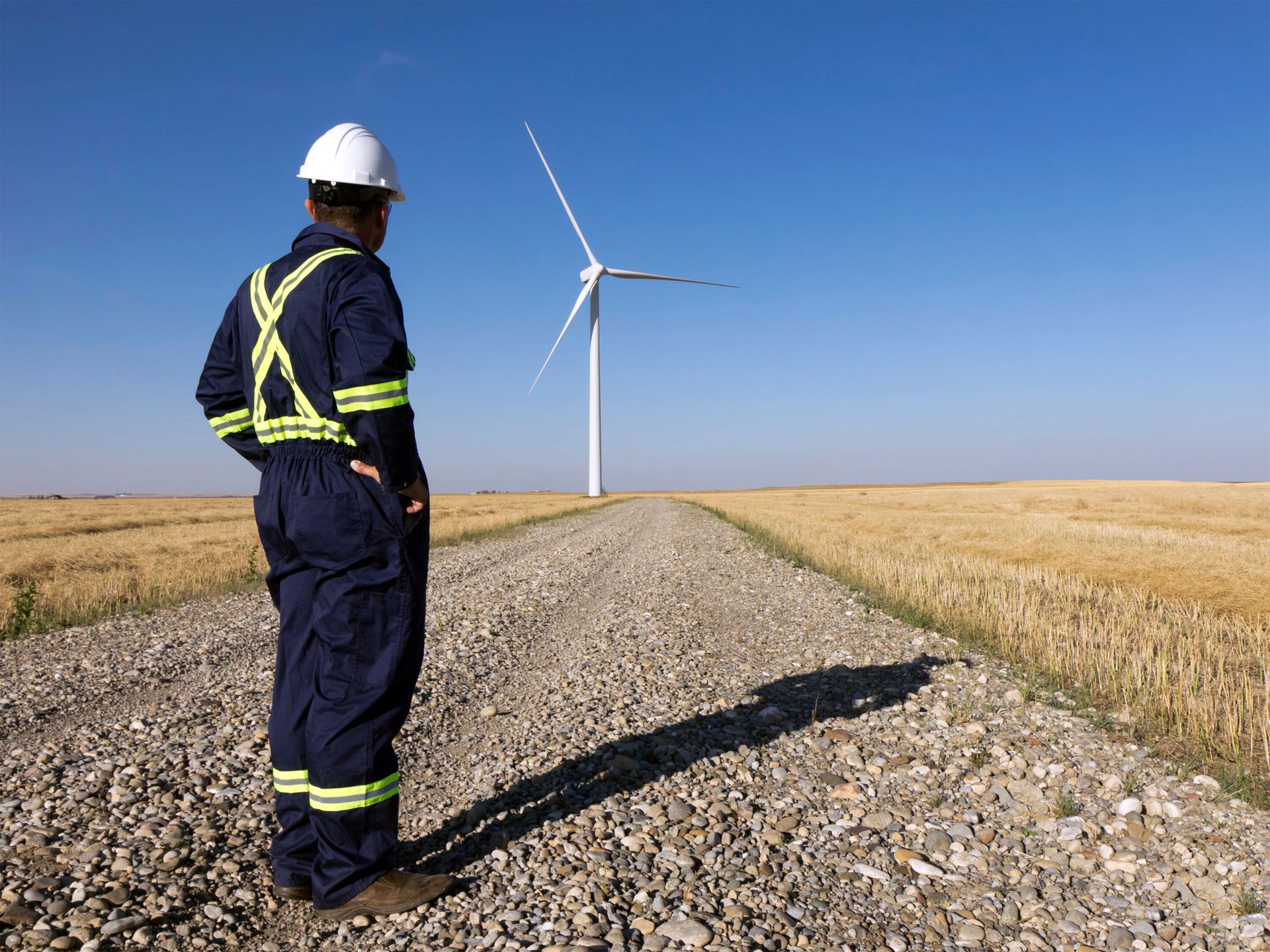 People in nature, Wind farm, High-visibility clothing, Sky, Windmill, Asphalt, Grassland