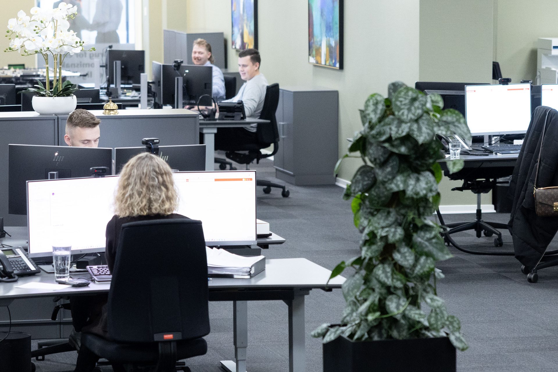 People working at computers in a modern office with plants.