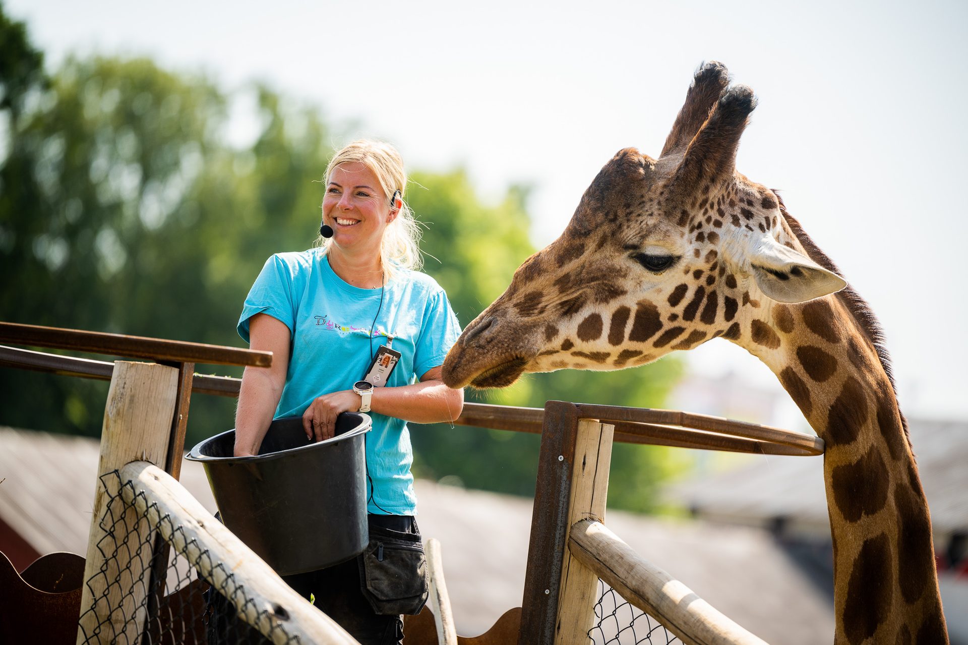 Terrestrial animal, Giraffids, Giraffe, Neck, Recreation, Snout