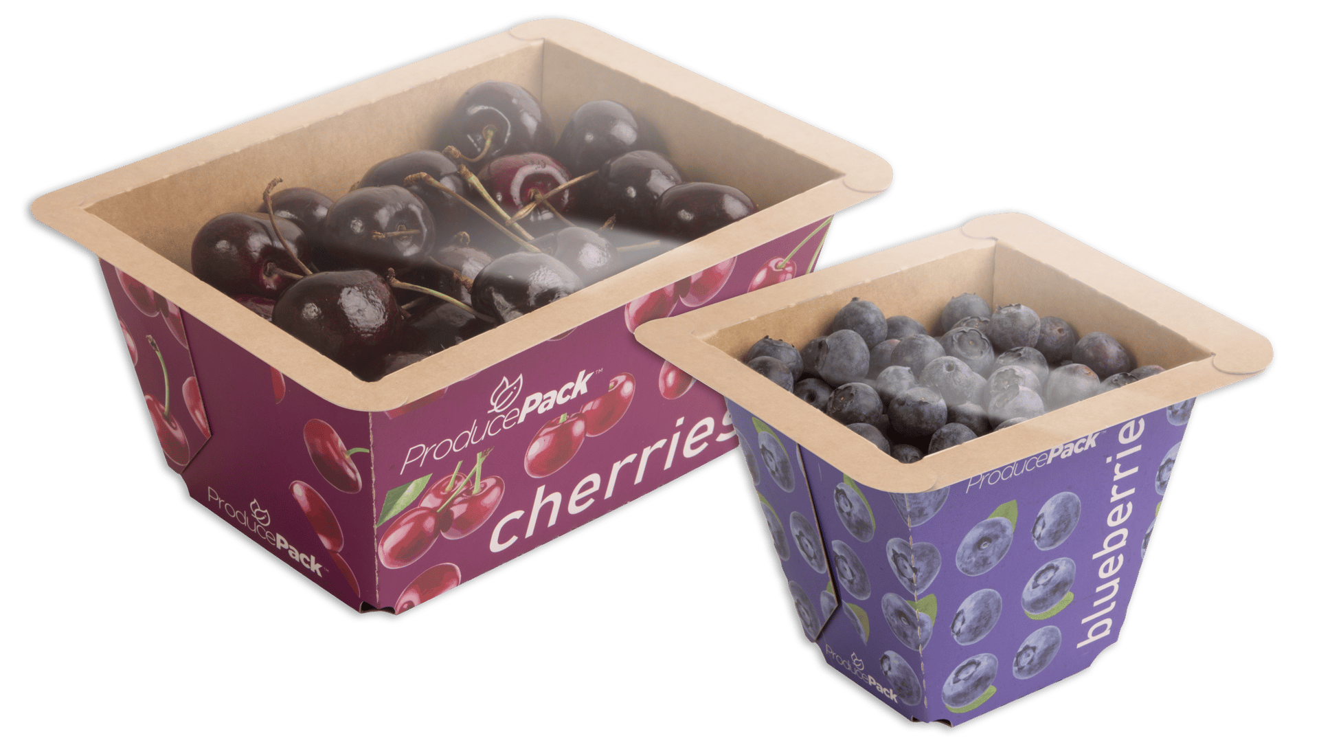 ProducePack&#x2122; Punnet trays containing cherries and blueberries