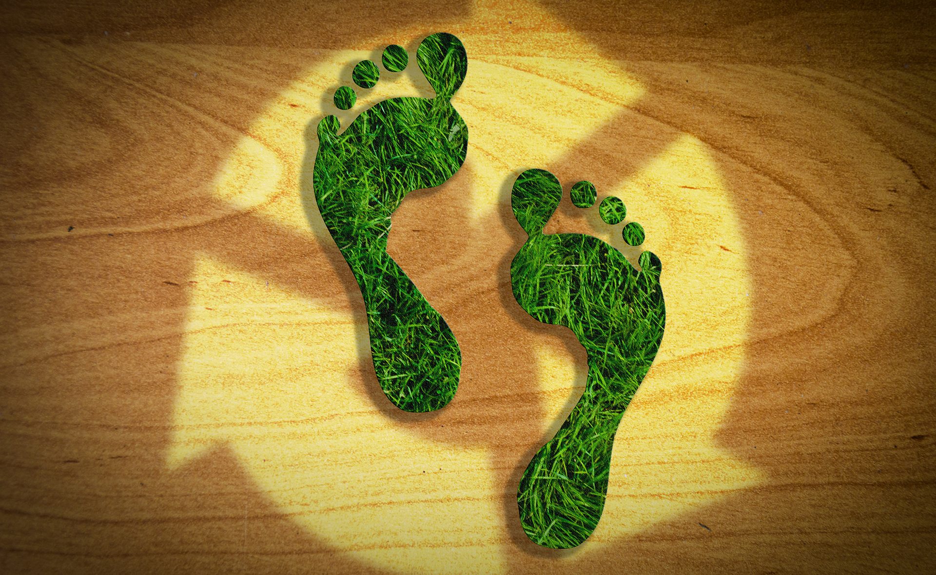 Green footprint concept