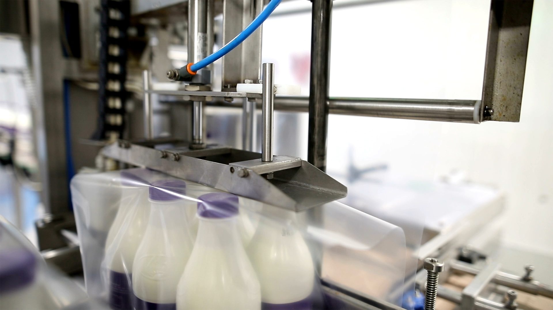 Machine packing six plastic bottles with milk