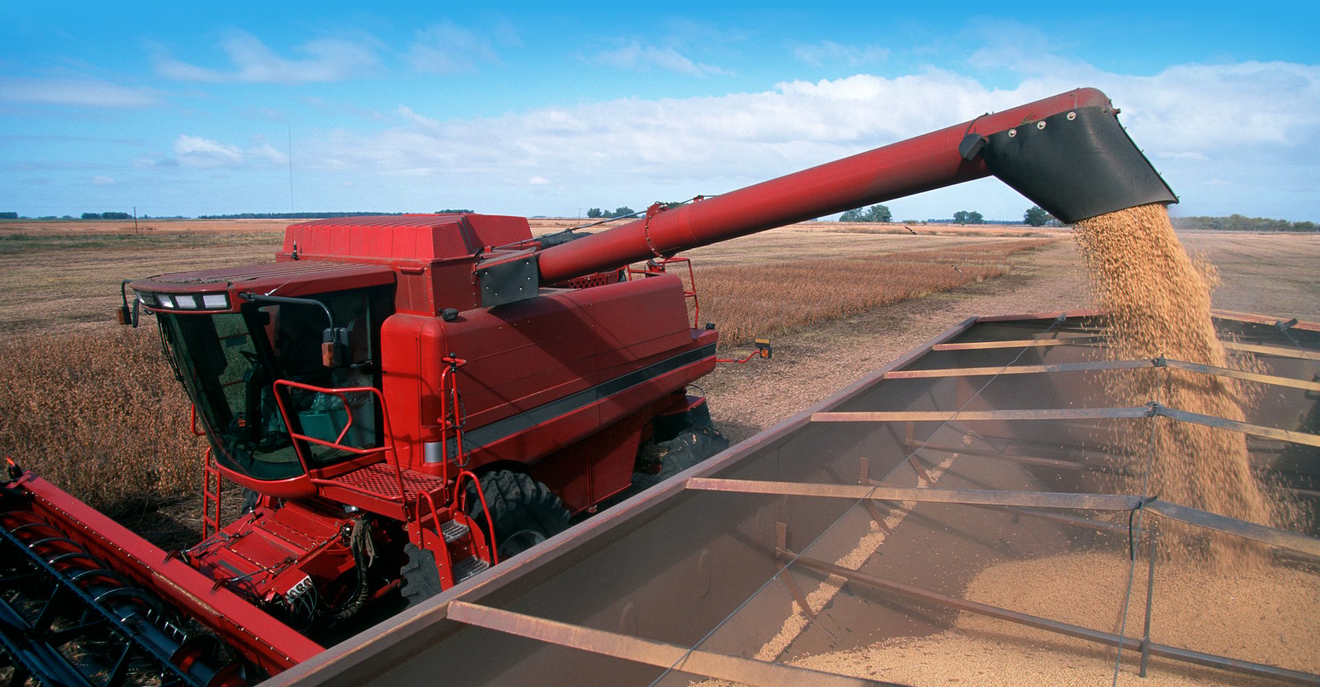 Harvesting a field of soybeans With a combine harvester