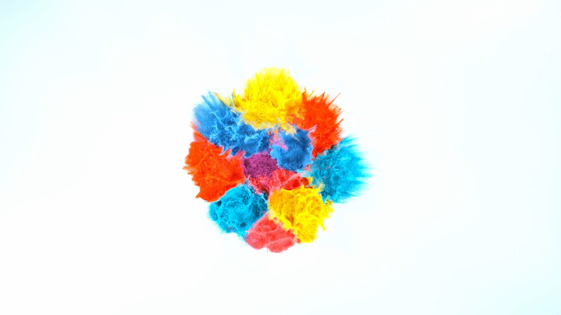 colorful powder ready for animation burst