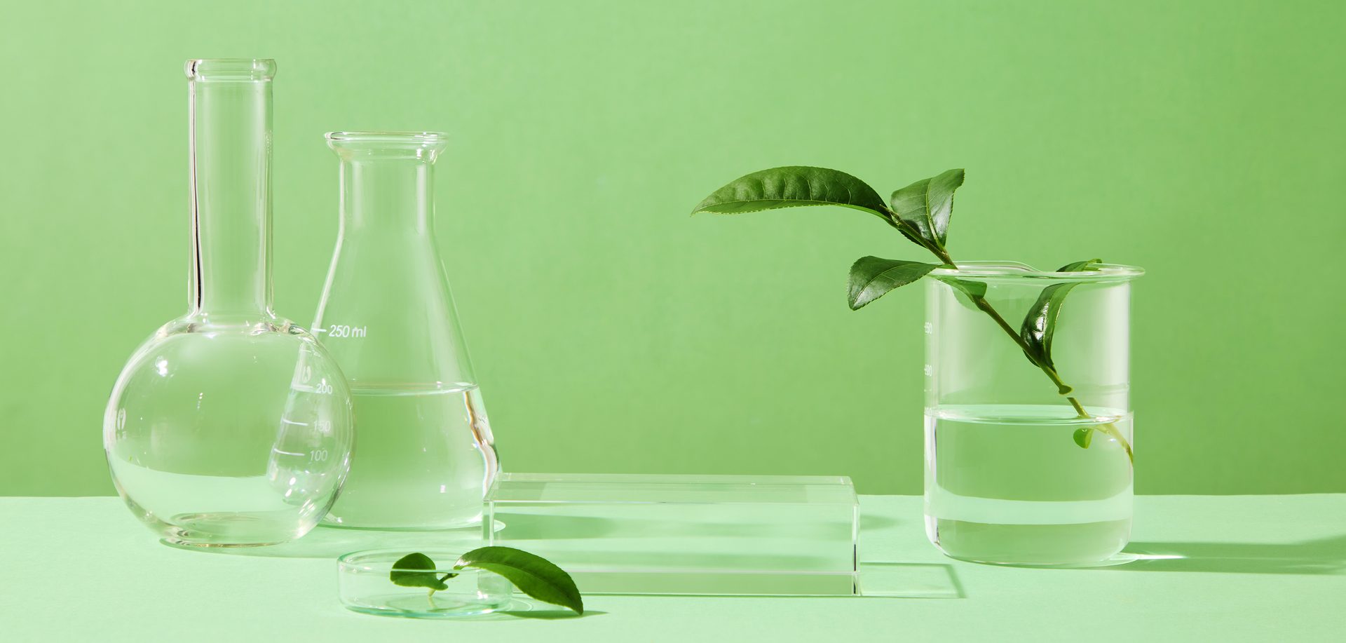 Glass podium and glass equipment decorated on green background with green leaves