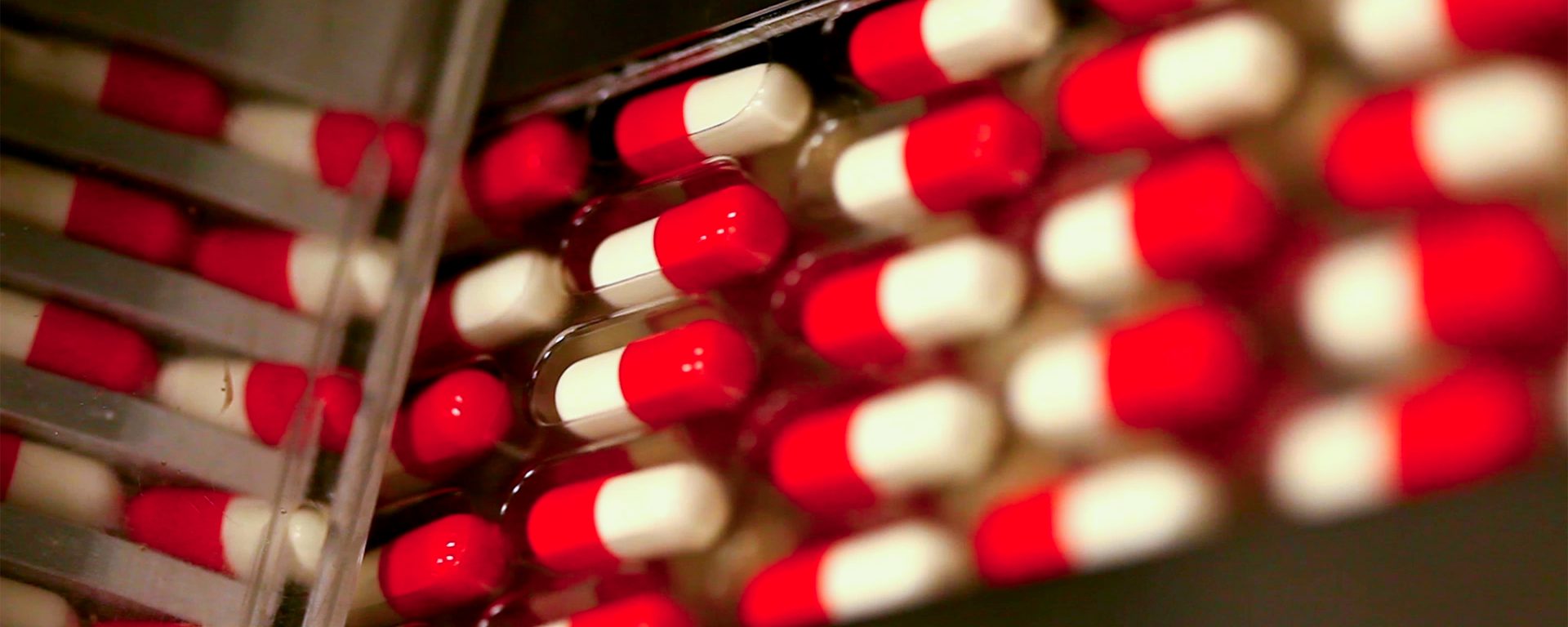 blister packaging equipment