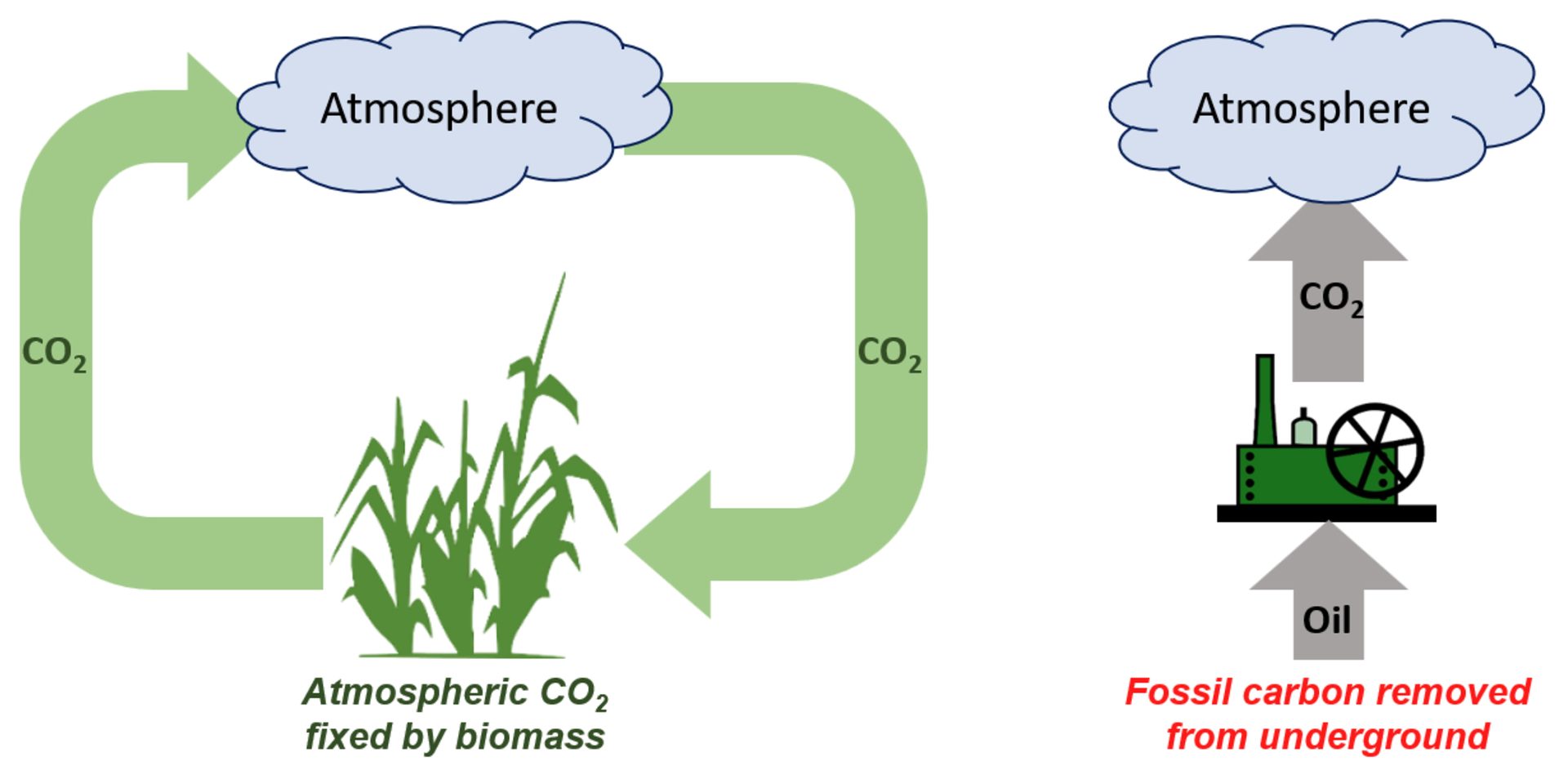Depiction of the biogenic carbon cycle vs. using fossil carbon sources.