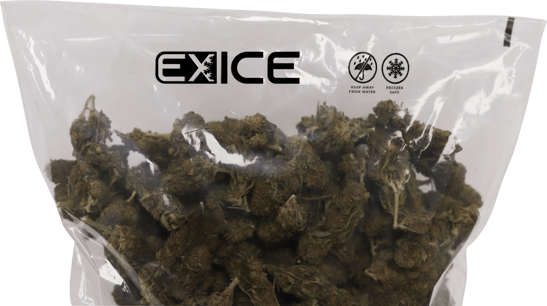 Frozen cannabis in clear ExIce bag