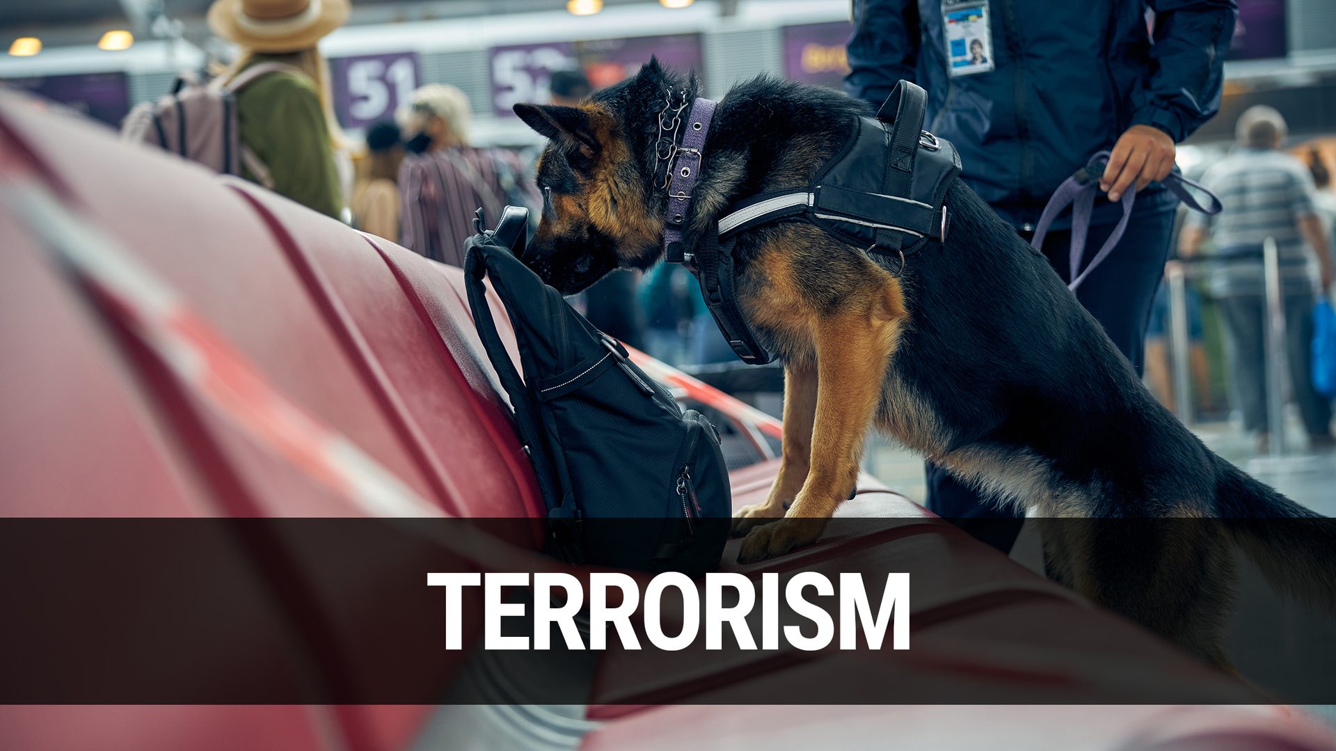 Terrorism: Officer and detection dog checking suspicious backpack at airport