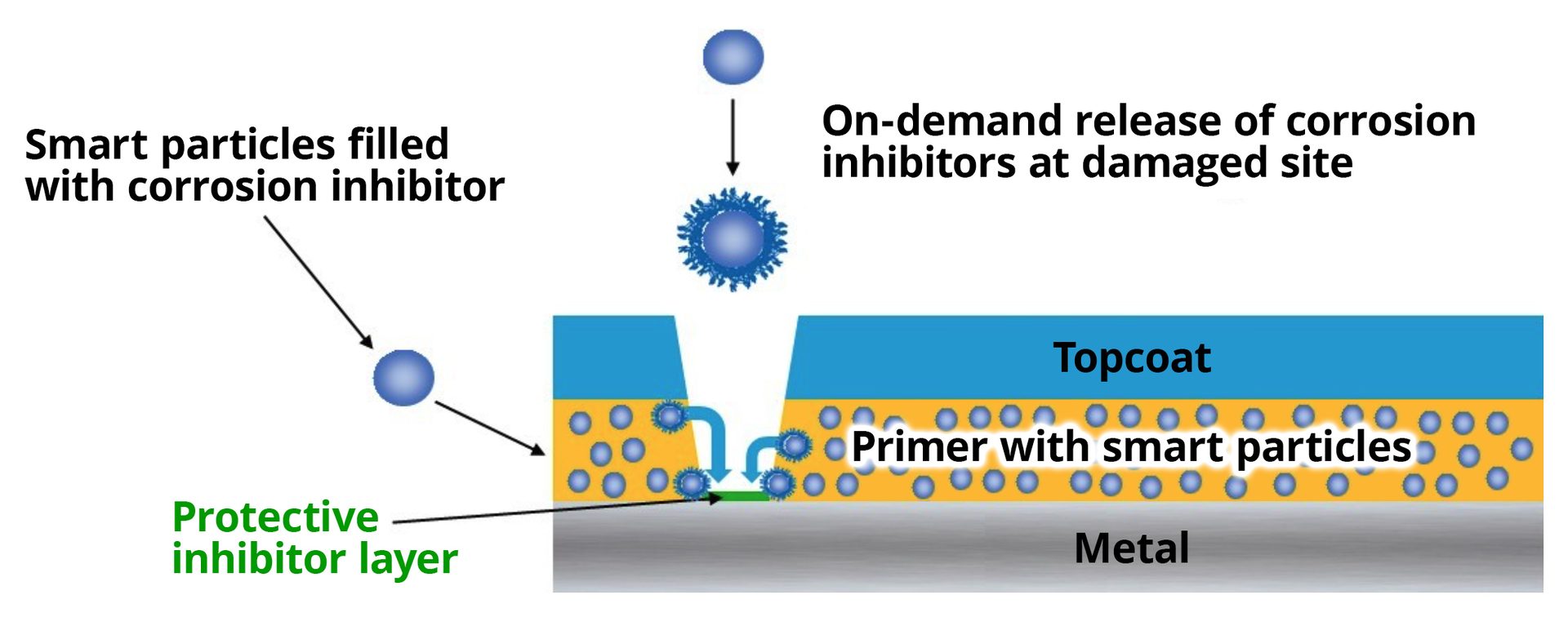 Smart particle release mechanism in coatings.
