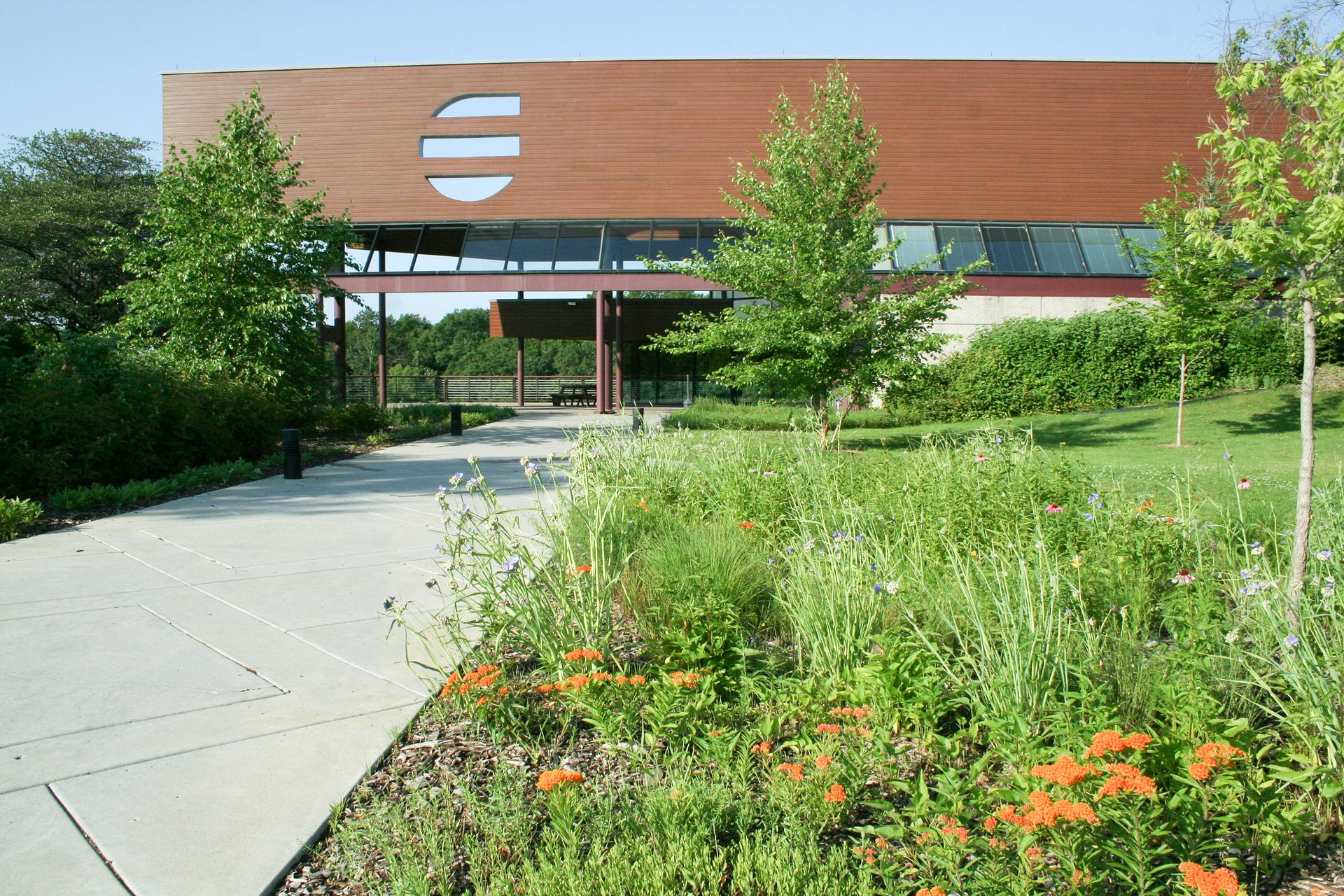 A modern building with a unique facade, concrete path, and a lush garden with orange flowers.