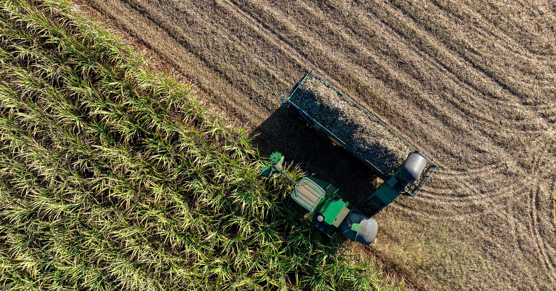 aerial top view of harvesting truck and field