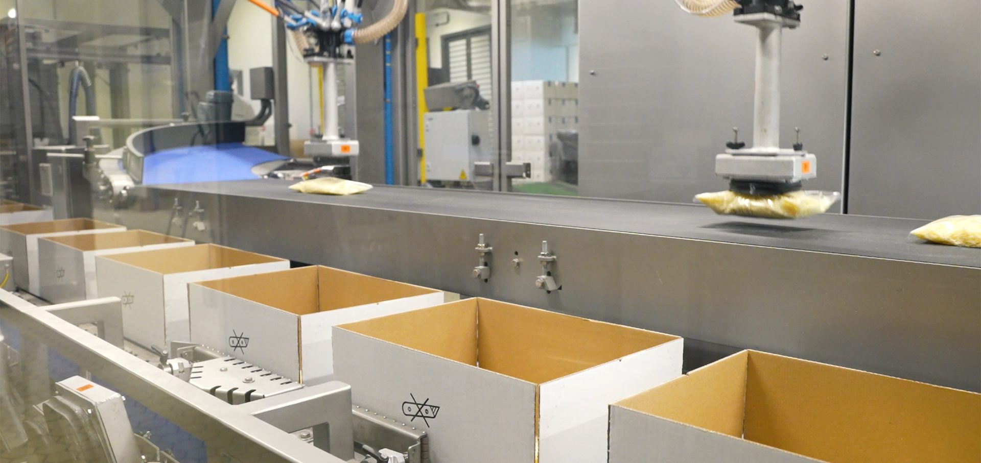 Robotic arms pack clear bags of yellow food product into cardboard boxes on an automated conveyor belt.