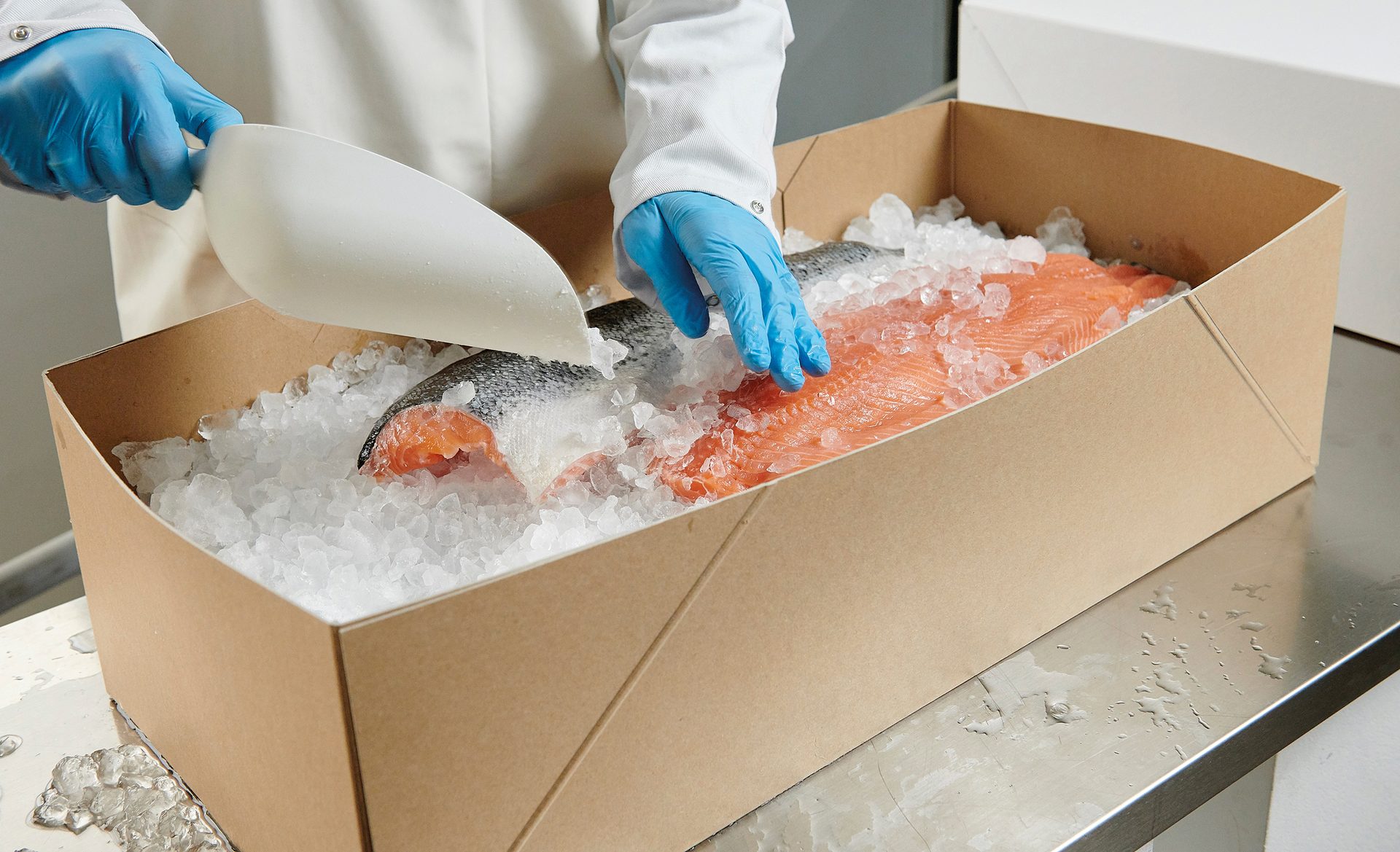 Fish packaged in Solidus&#x2019;s solid board