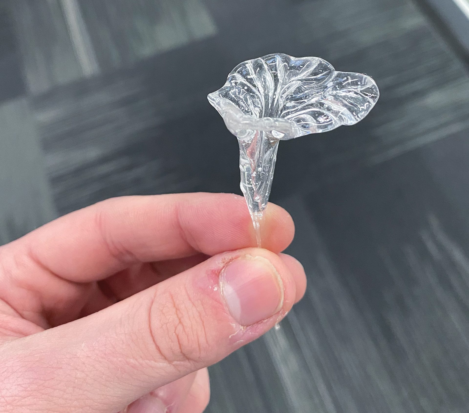 LionGlass flower