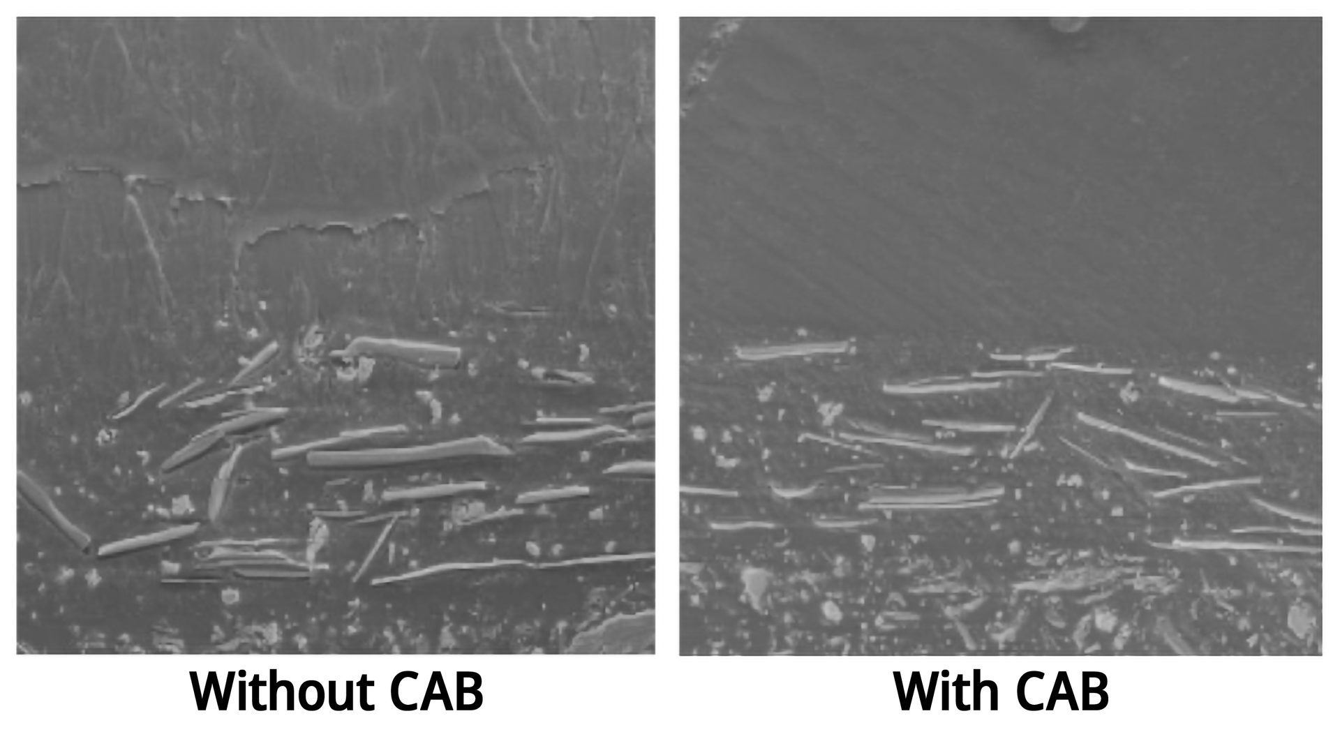 SEM images of the interface of topcoat and basecoat samples