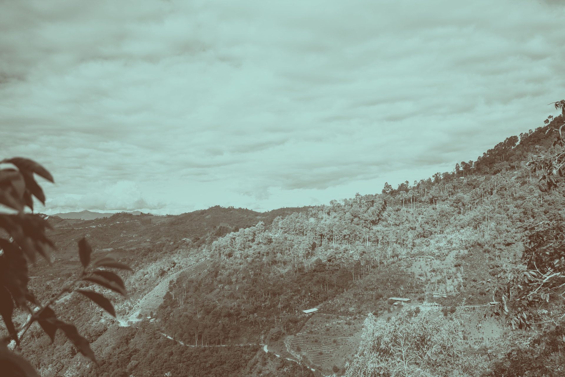 Mountainous landforms, Mountain, Vegetation, Hill, Wilderness, Cloud, Highland, Landscape, Slope