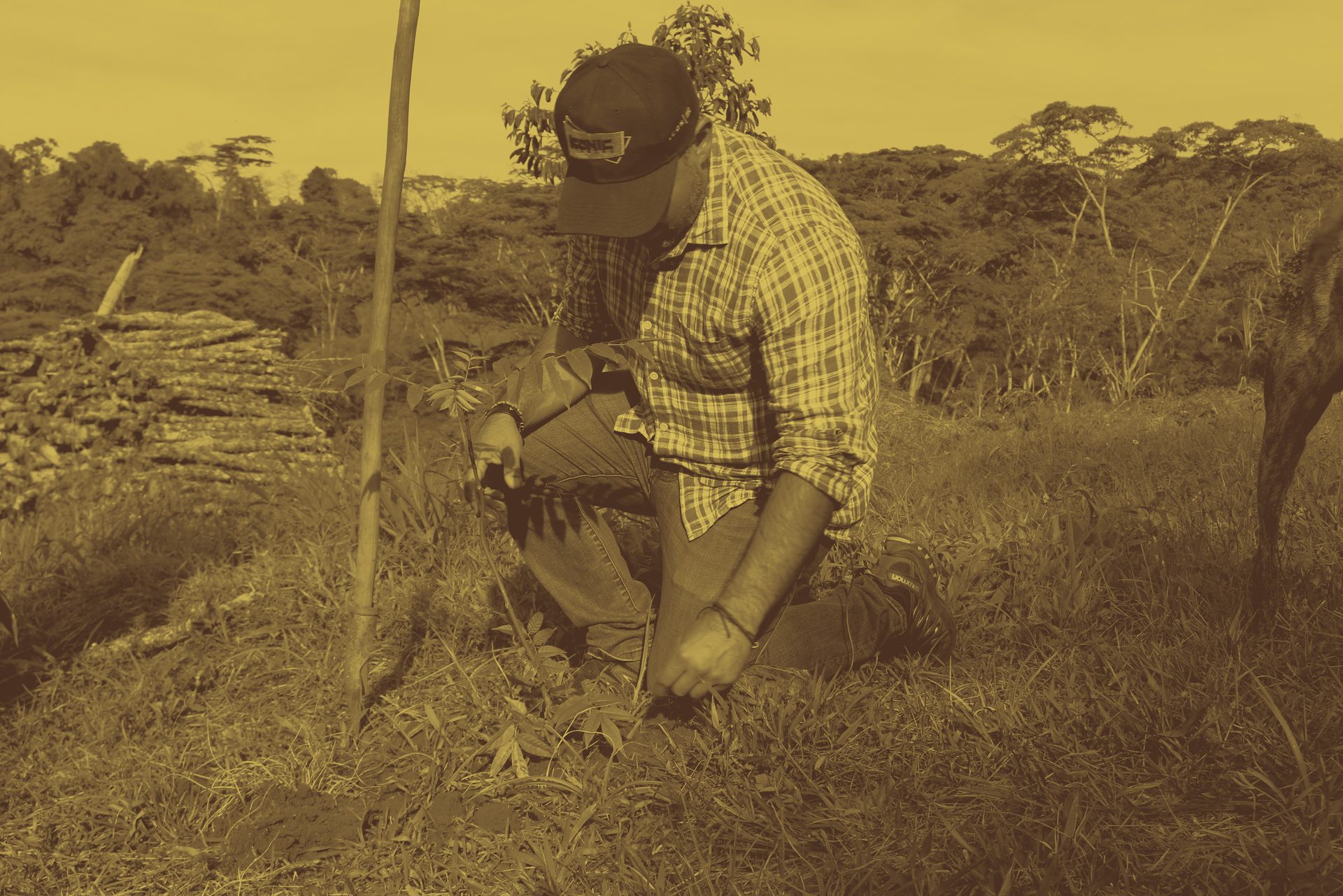 People in nature, Plant, Hat, Grass, Agriculture