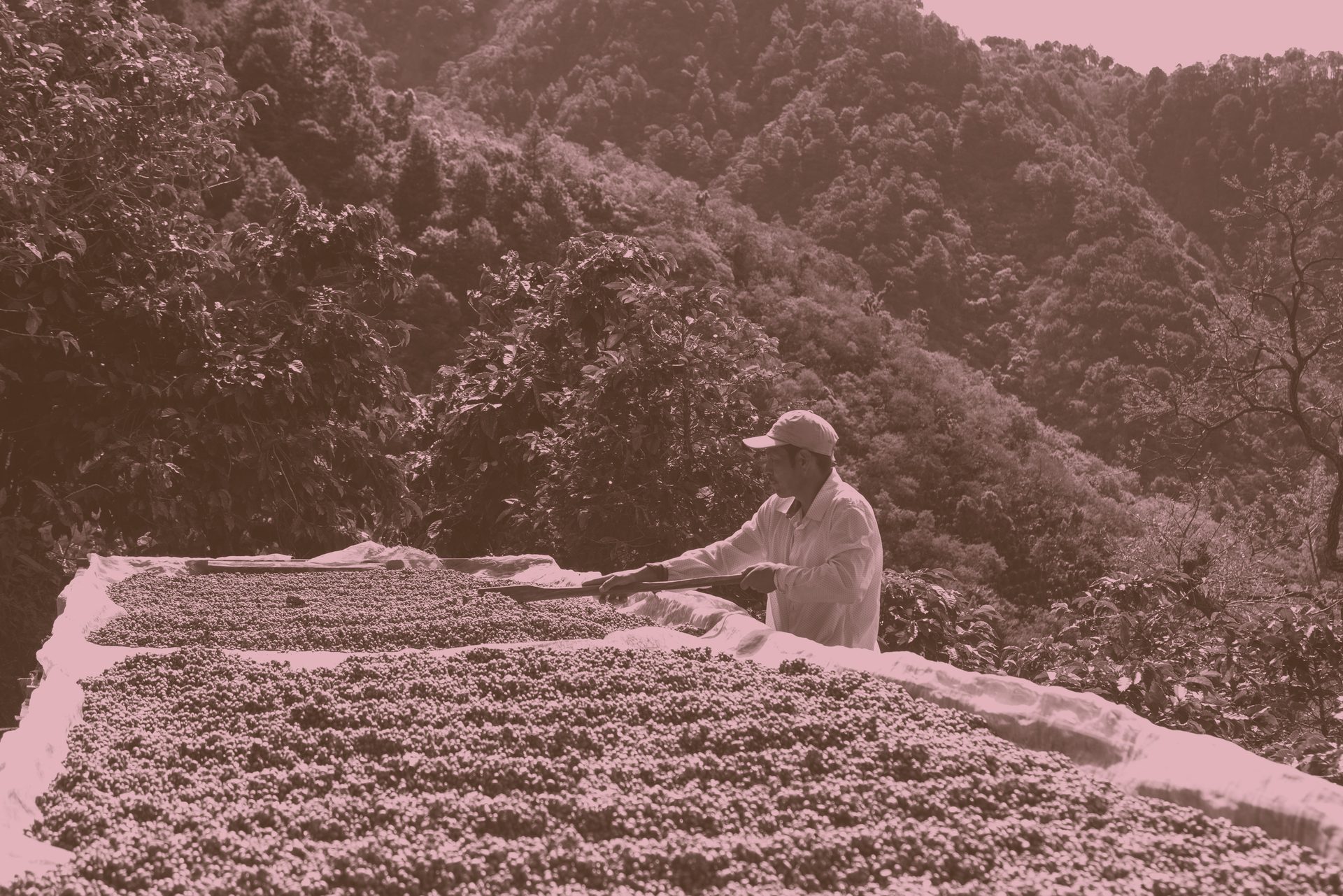People in nature, Grass, Mountain, Plant