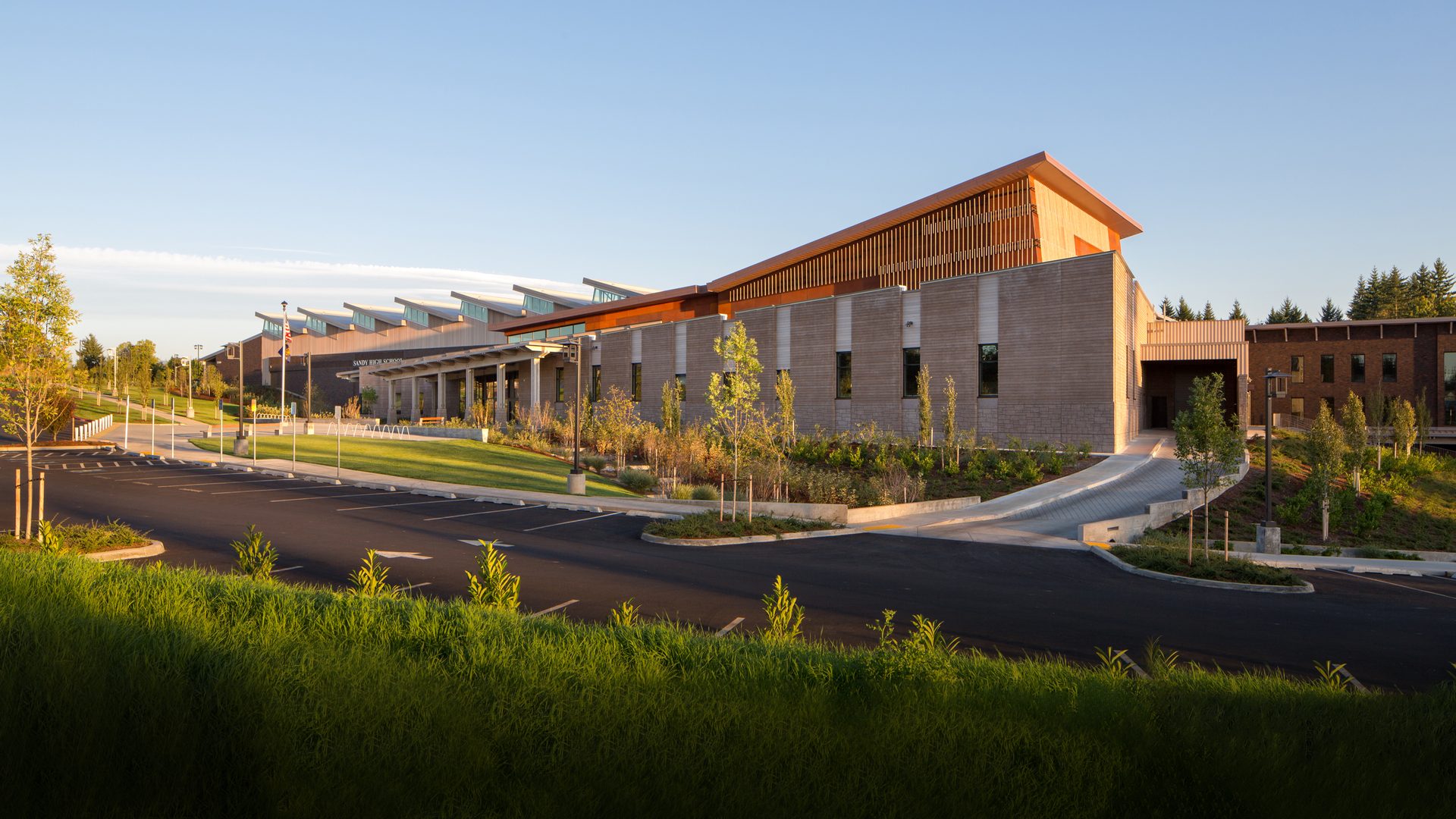 Land lot, Urban design, Plant, Sky, Building, Asphalt, Tree