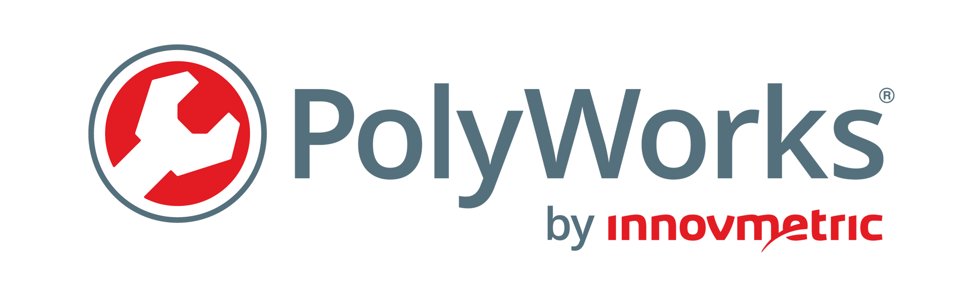 PolyWorks by innovmetric