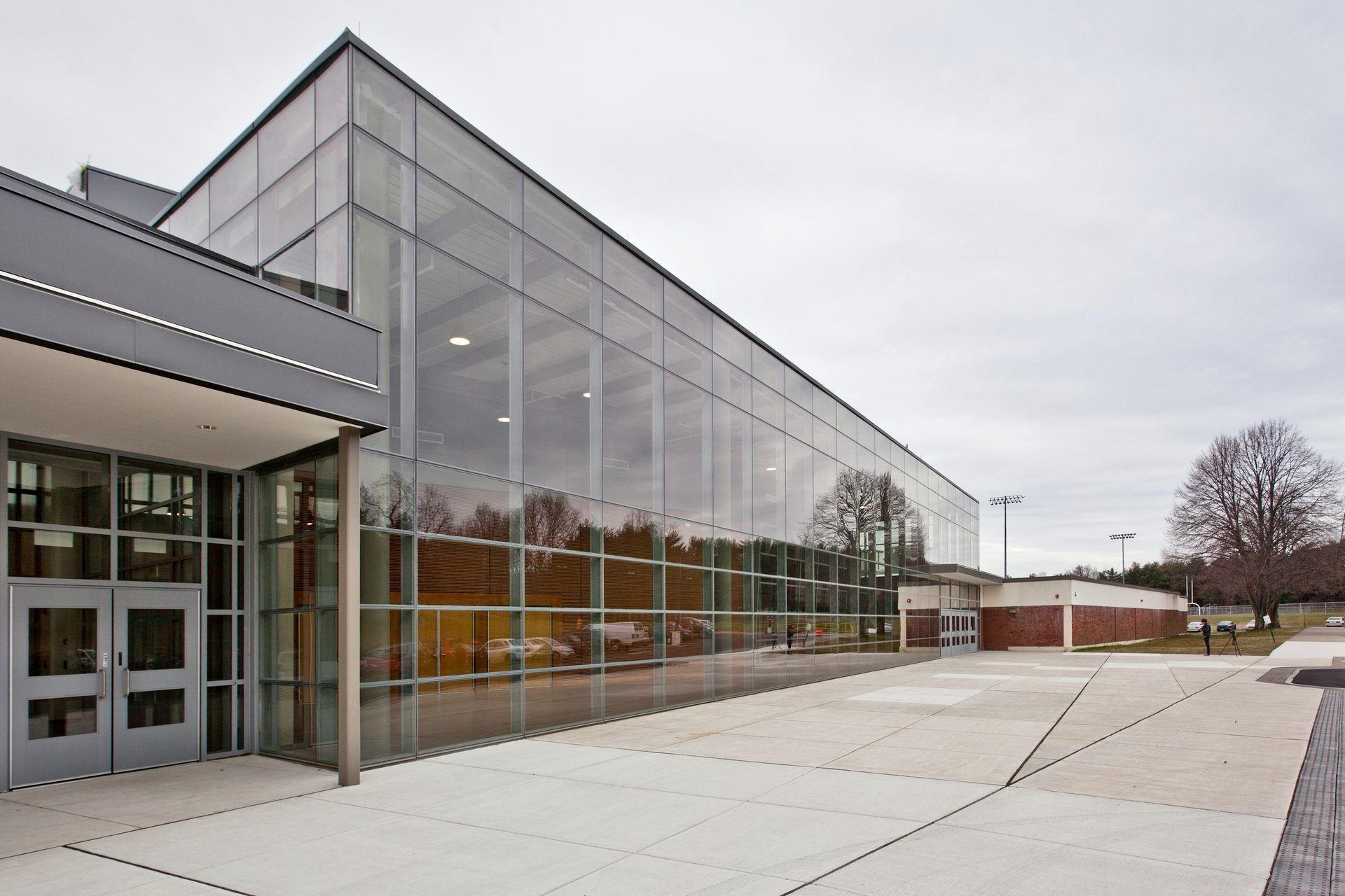 Steel curtain walls can support larger glass lites and achieve more expansive free-span sizes
