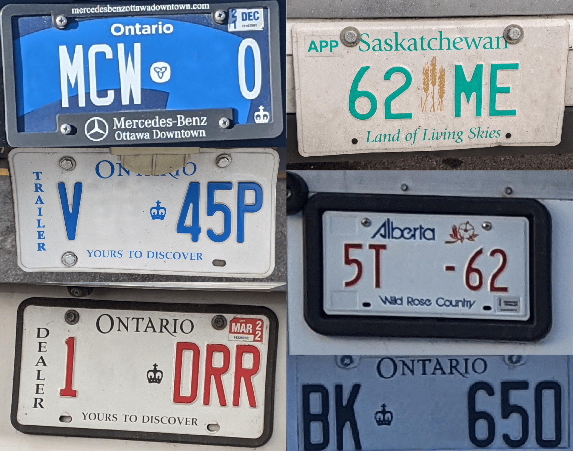 Different colors and designs on license plates