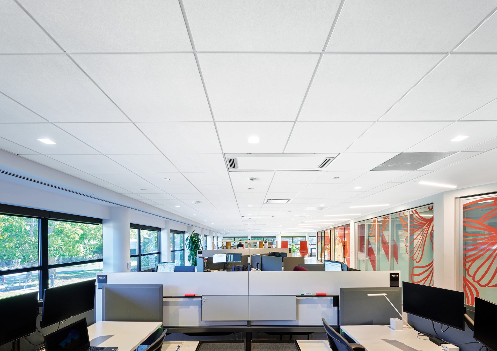 Modern open office with cubicles, windows, and decorative glass partitions.