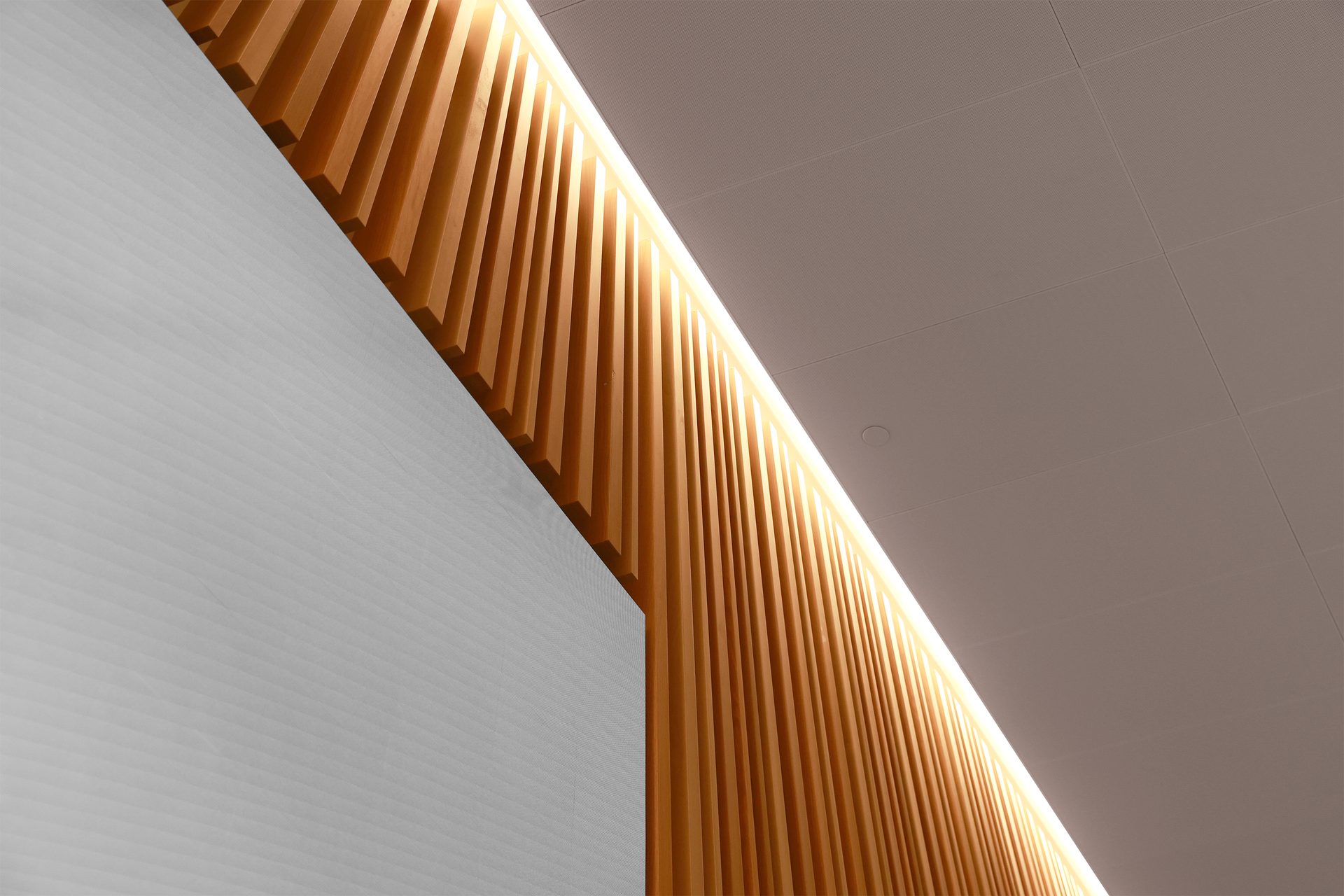 LAX ceilings and wall panels