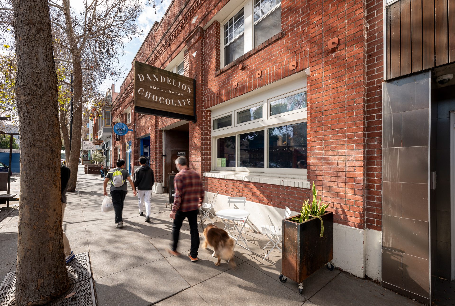A sidewalk scene with people, a dog, and a 'Dandelion Chocolate' shop.