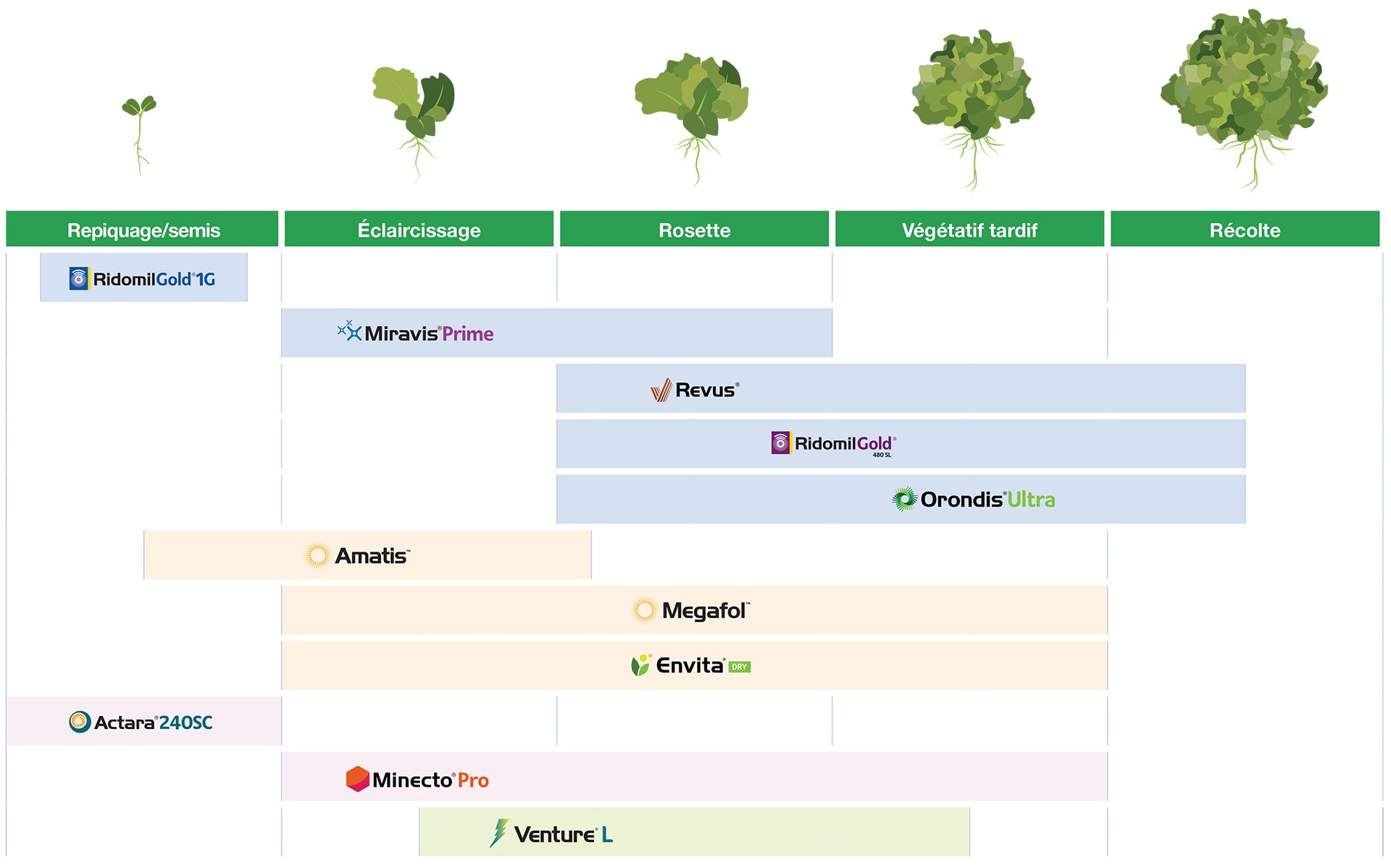 Guide d’application de laitues 