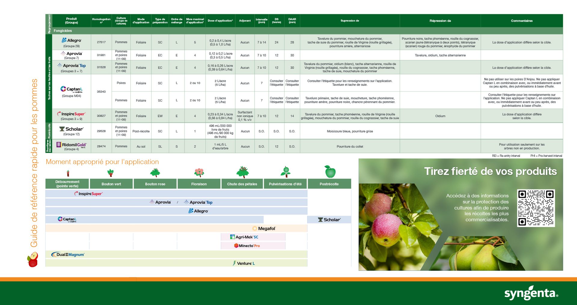 guide de référence rapide pour les fruits à pépins