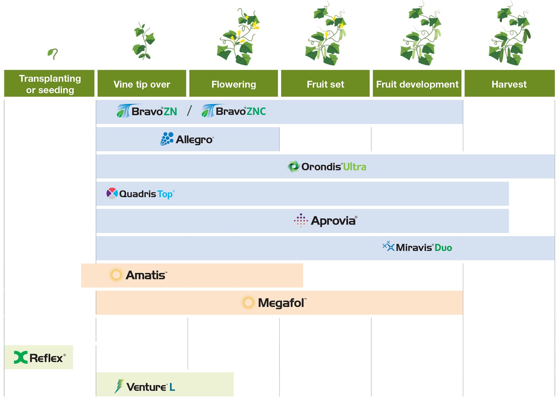 cucumber application timing chart