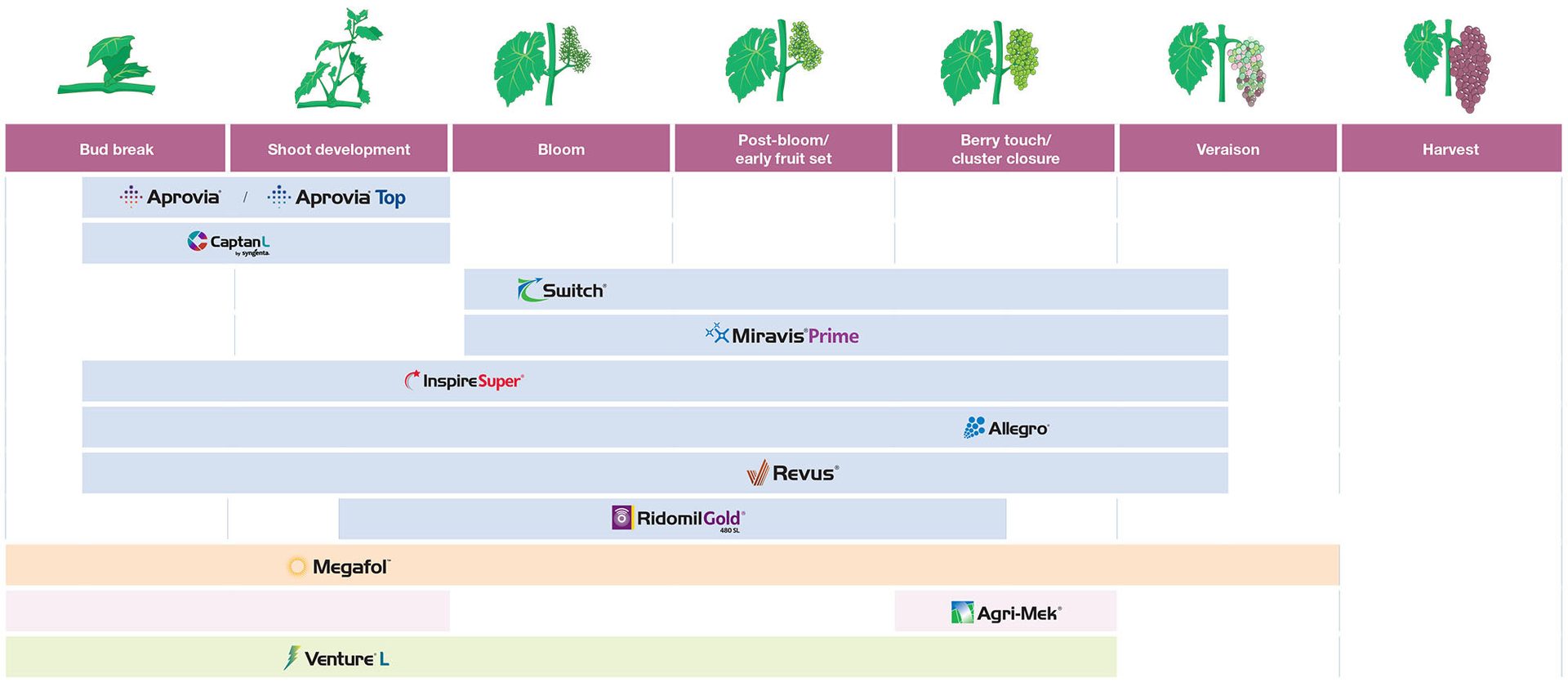 grape application timing chart