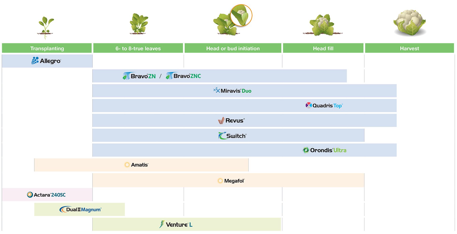 Brassica application guide