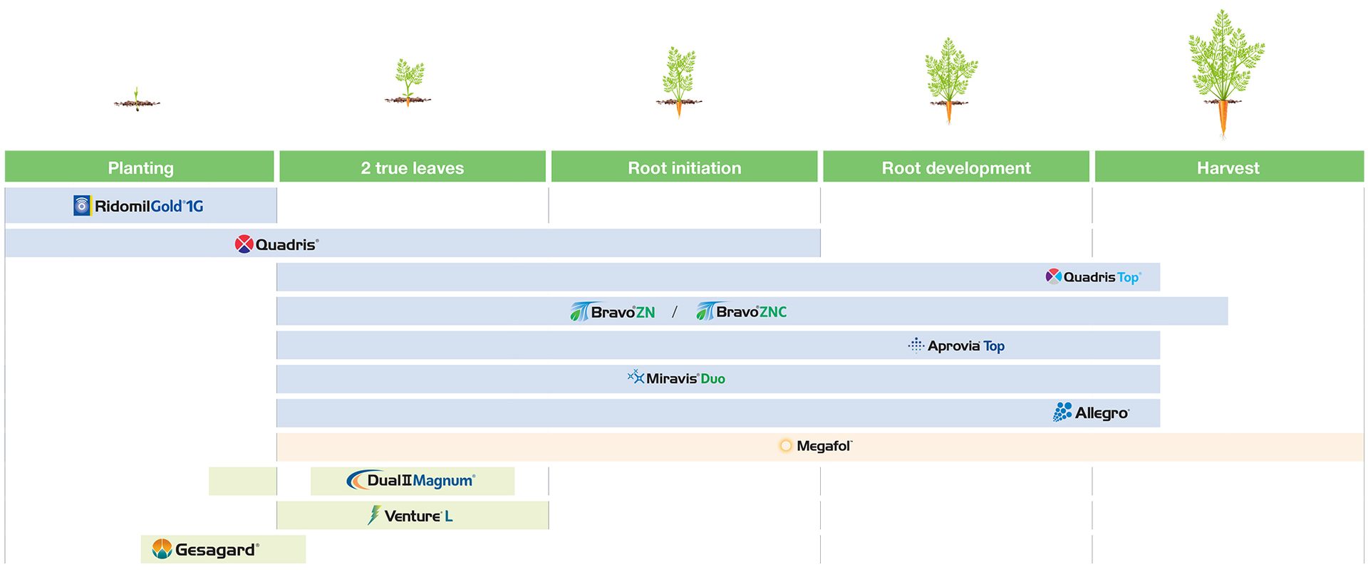 carrot application timing chart