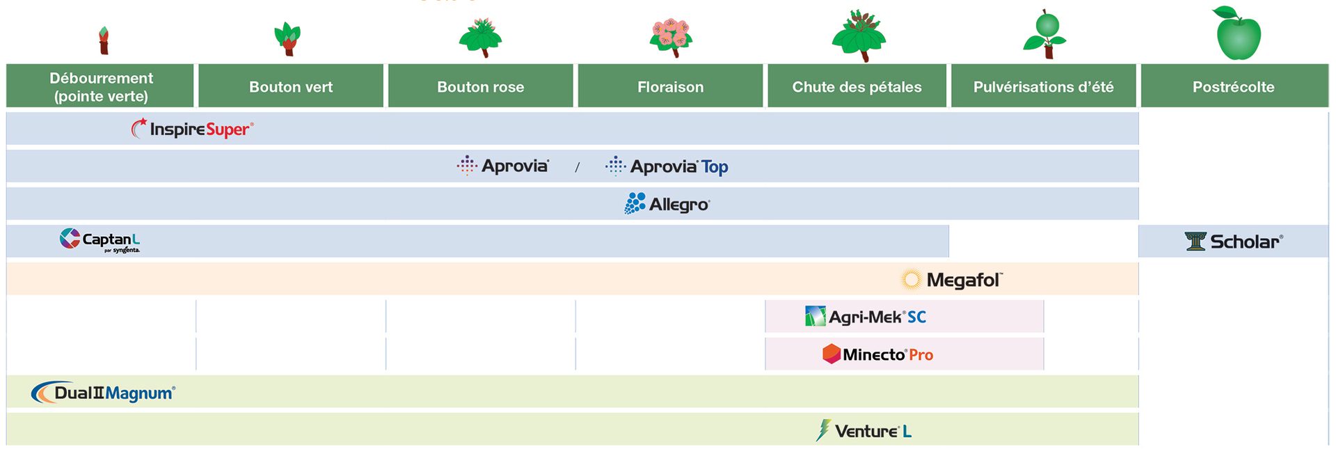 Guide d’application de fruits à pépins