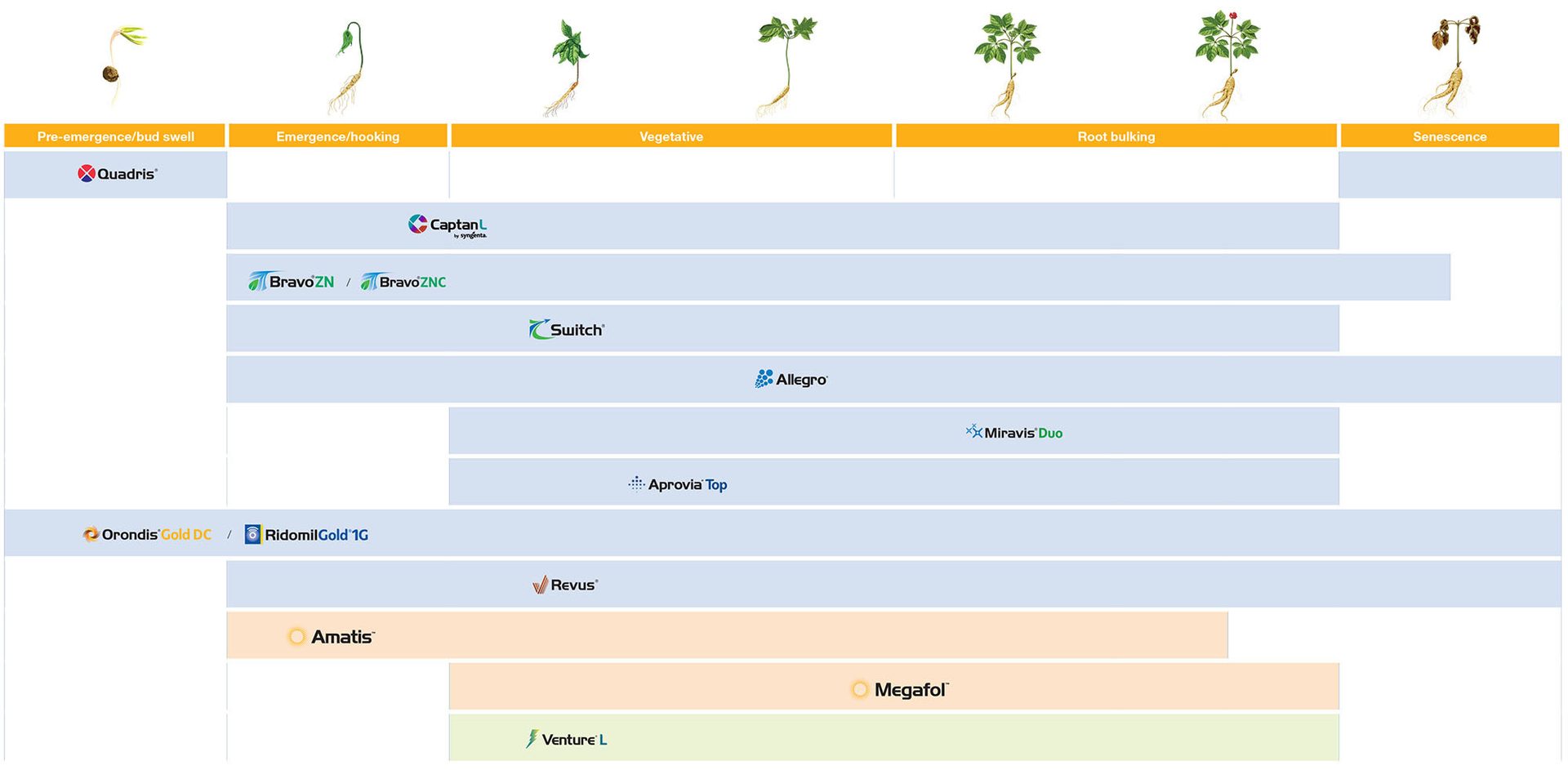 ginseng application timing chart
