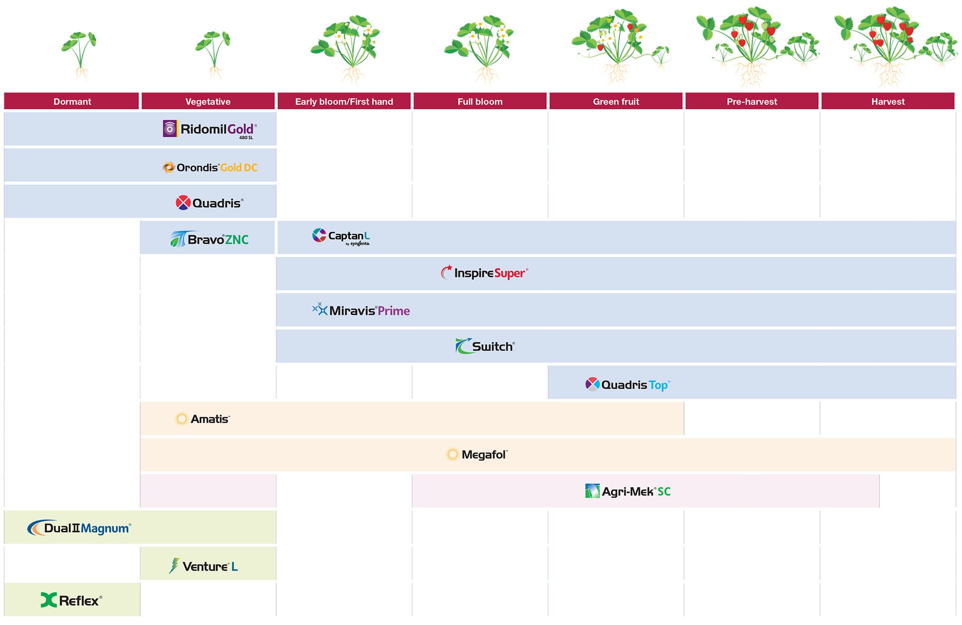 Strawberry application timing chart