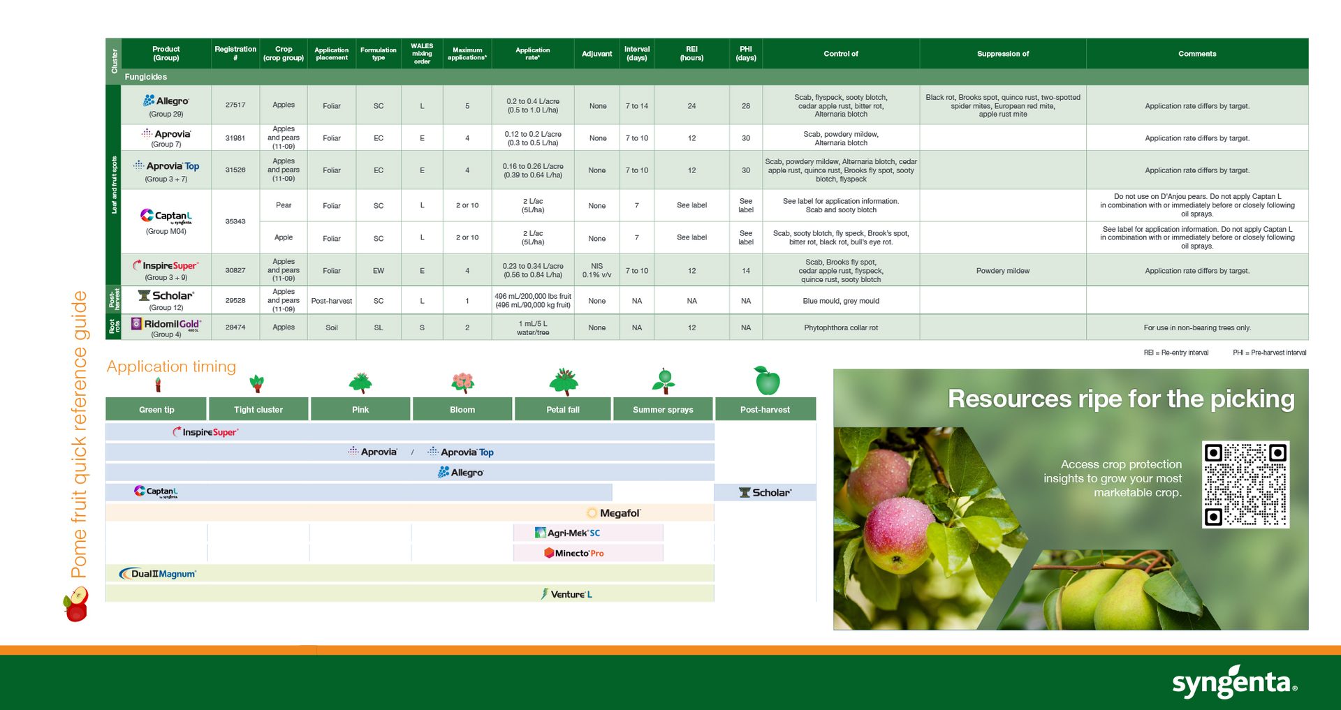 pome fruit quick reference guide