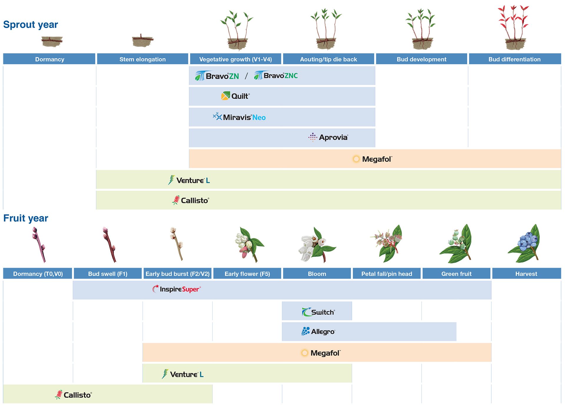lowbush blueberry application timing chart