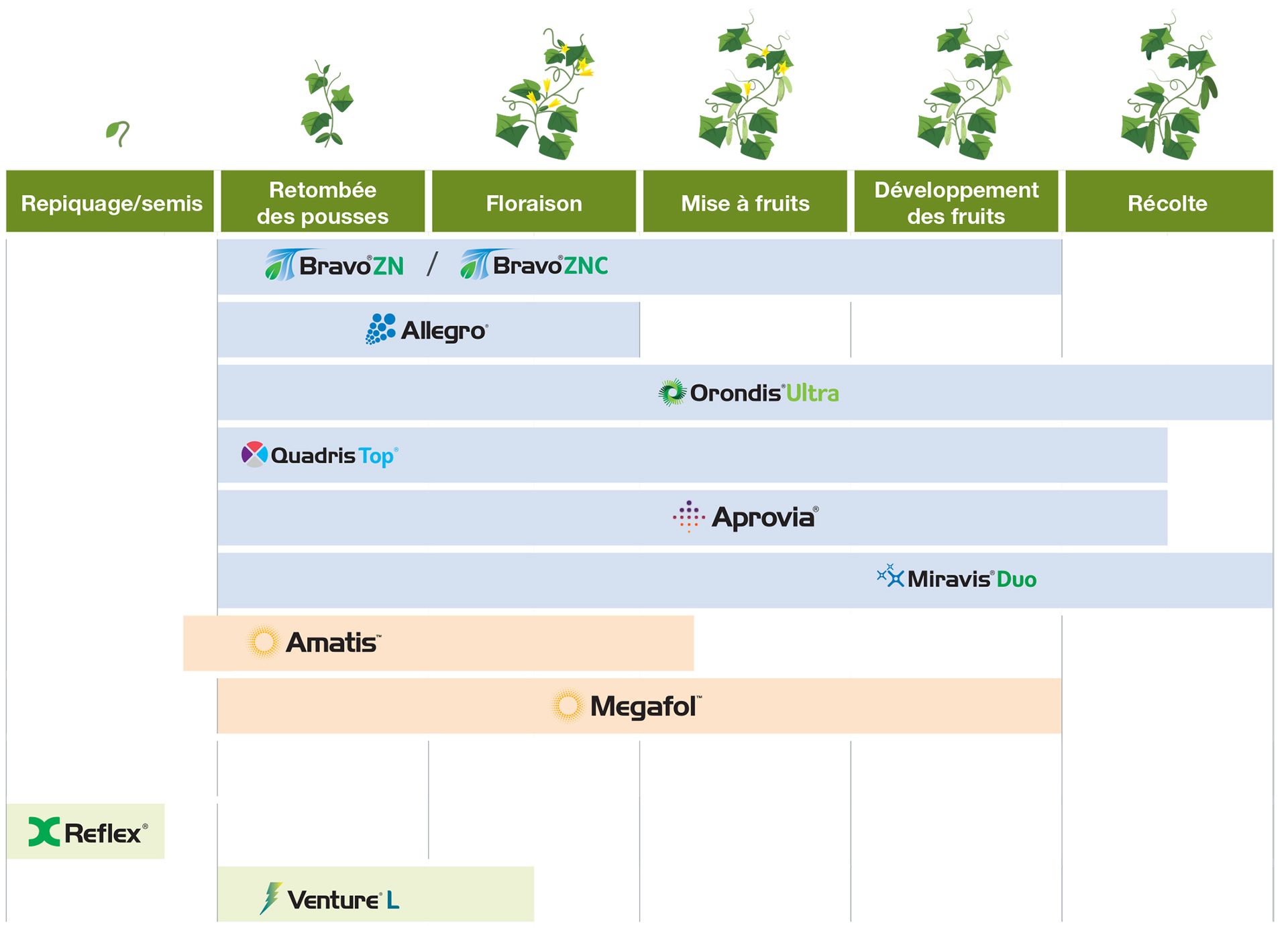 Guide d’application de concombres