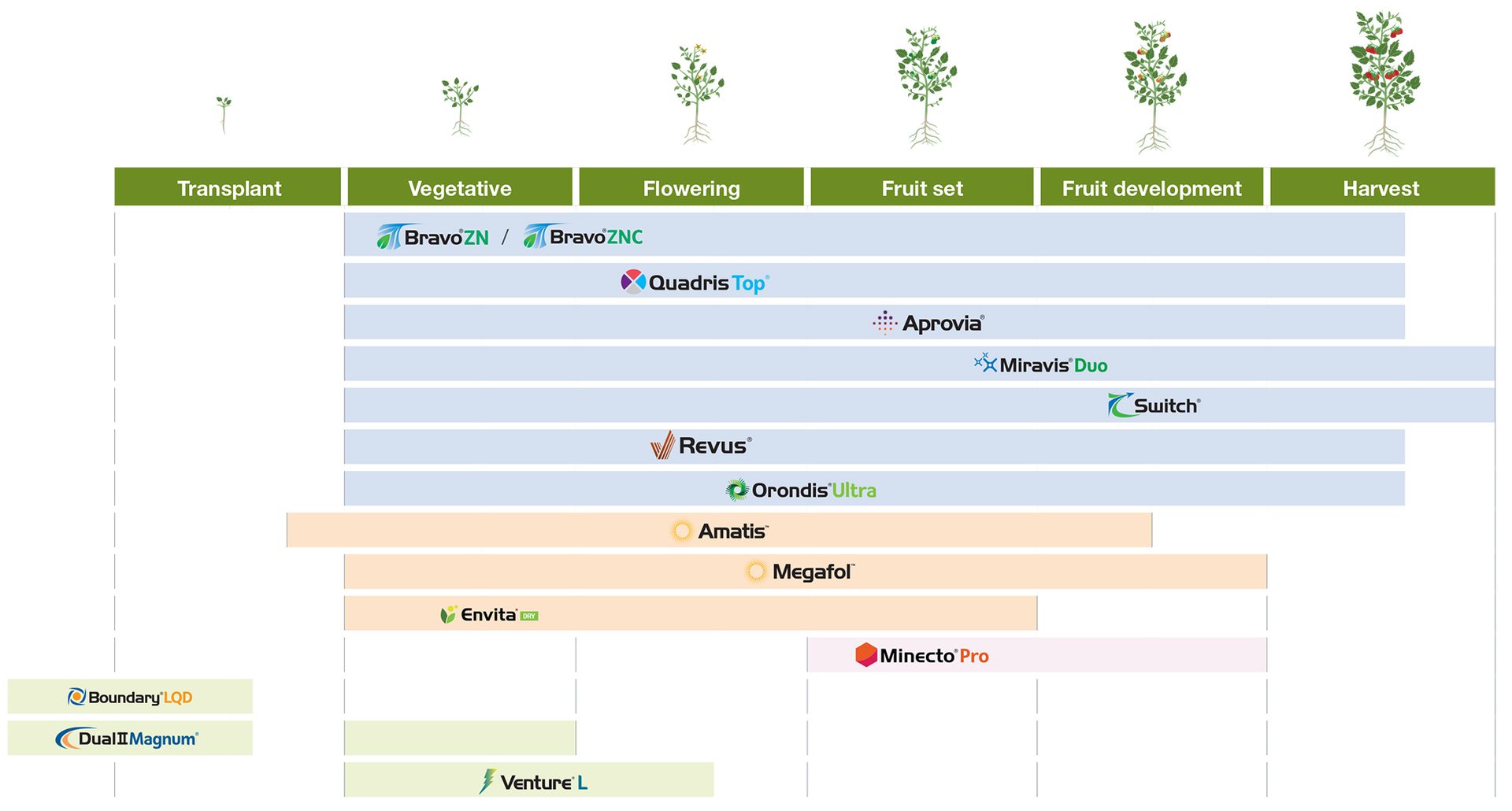 tomato application timing chart