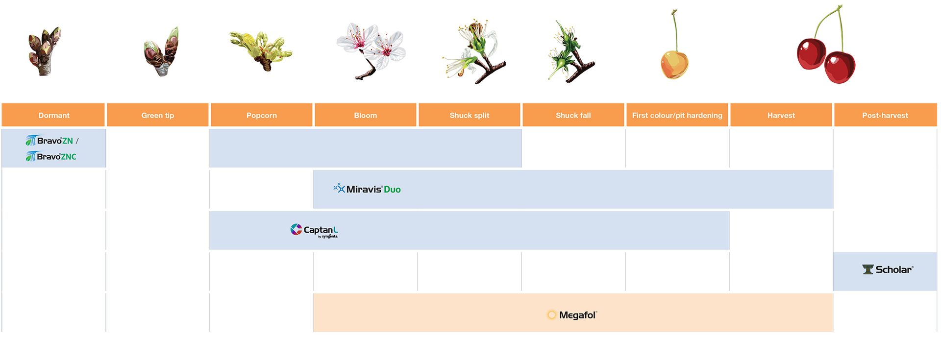 stone fruit application timing chart