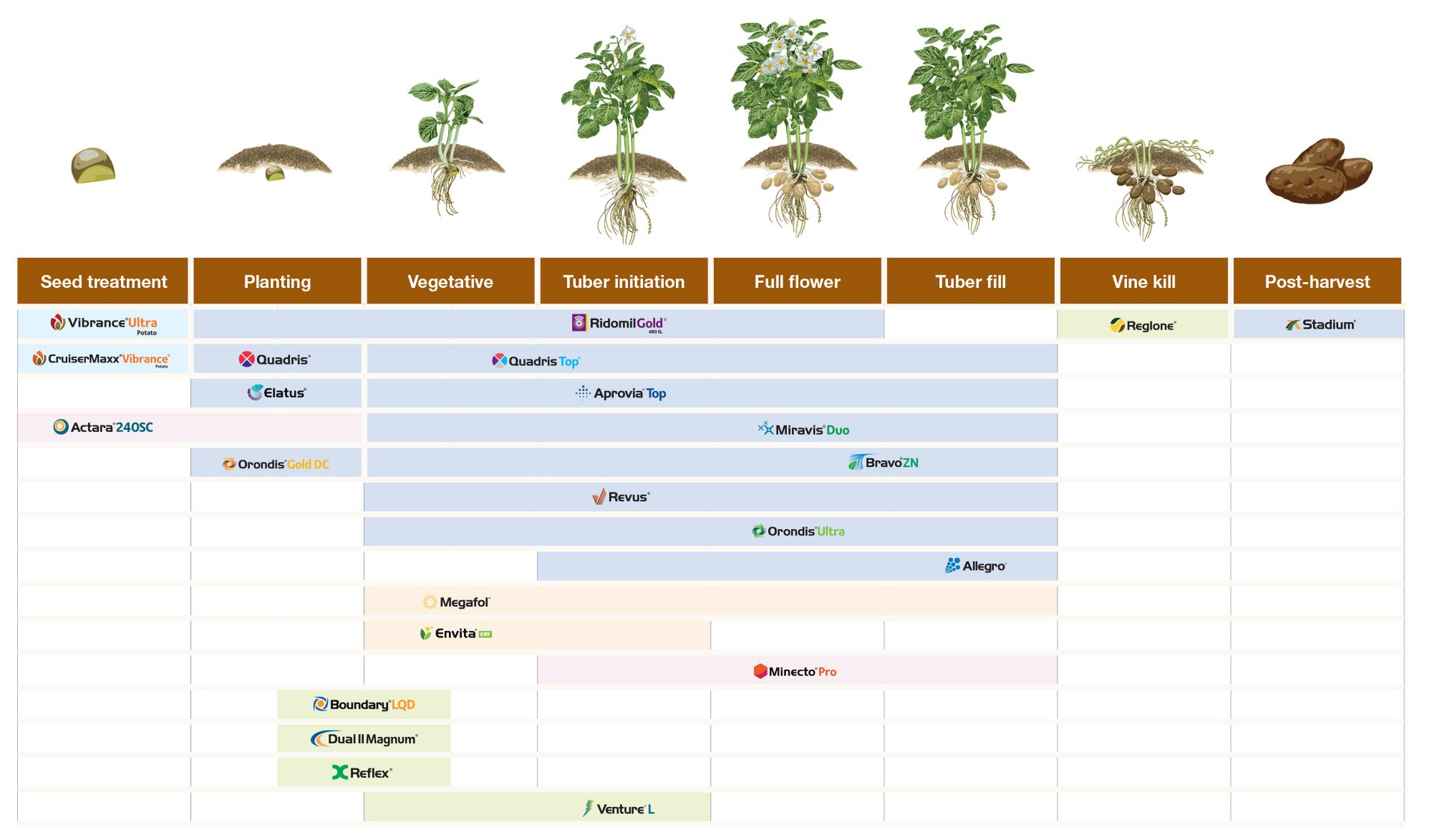 potato application timing chart