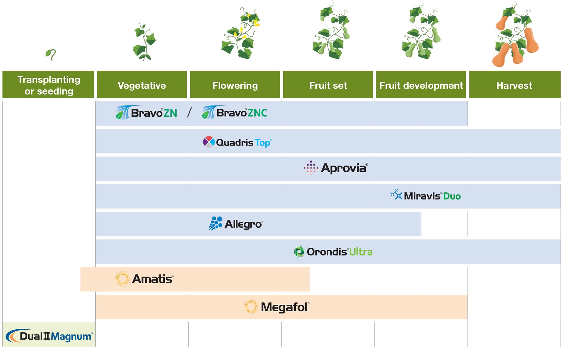 squash application timing chart
