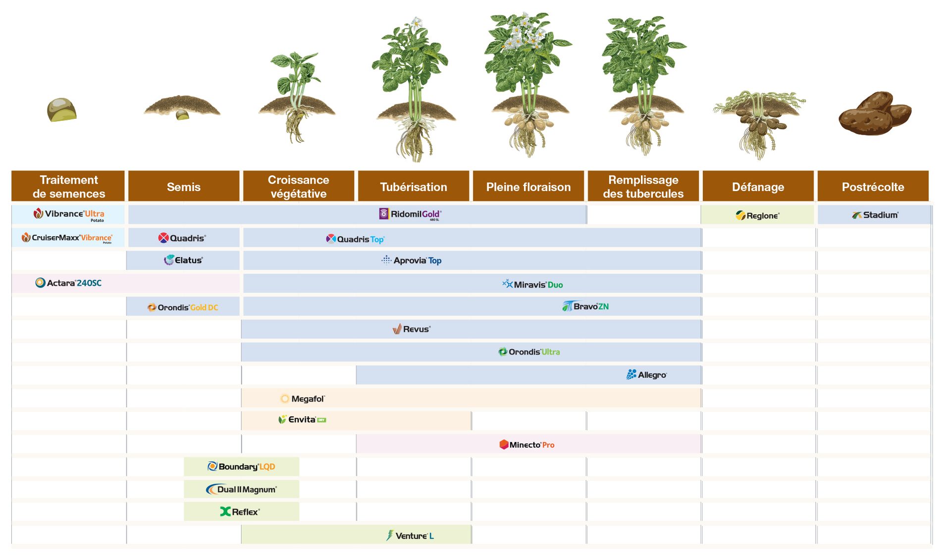 Guide d’application de pommes de terre