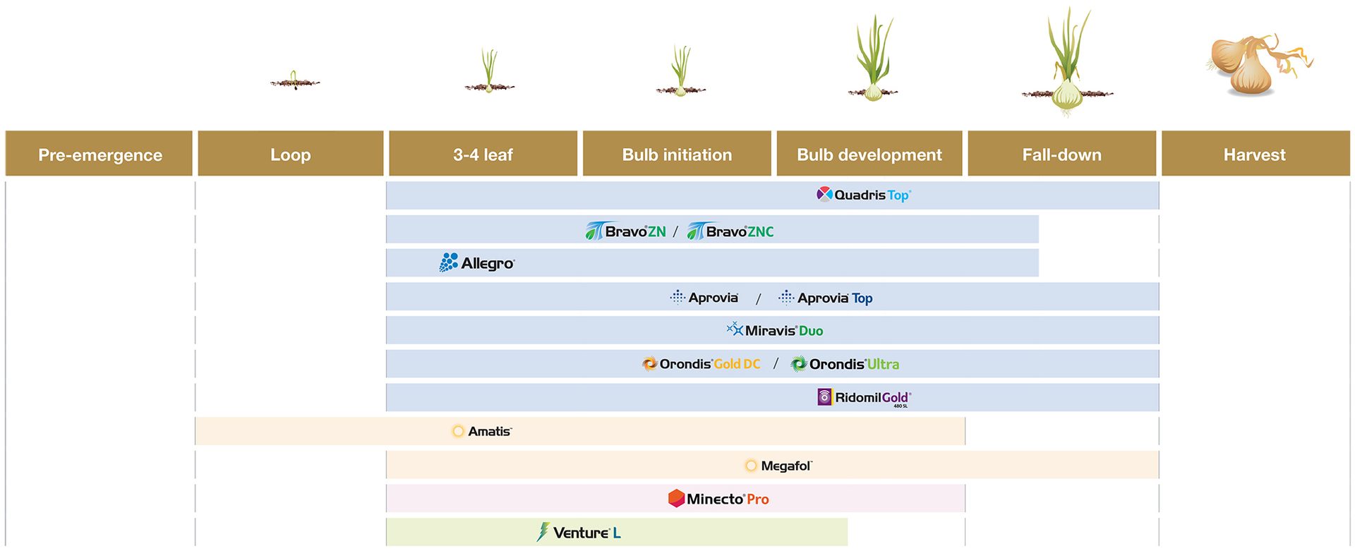 onion application timing chart