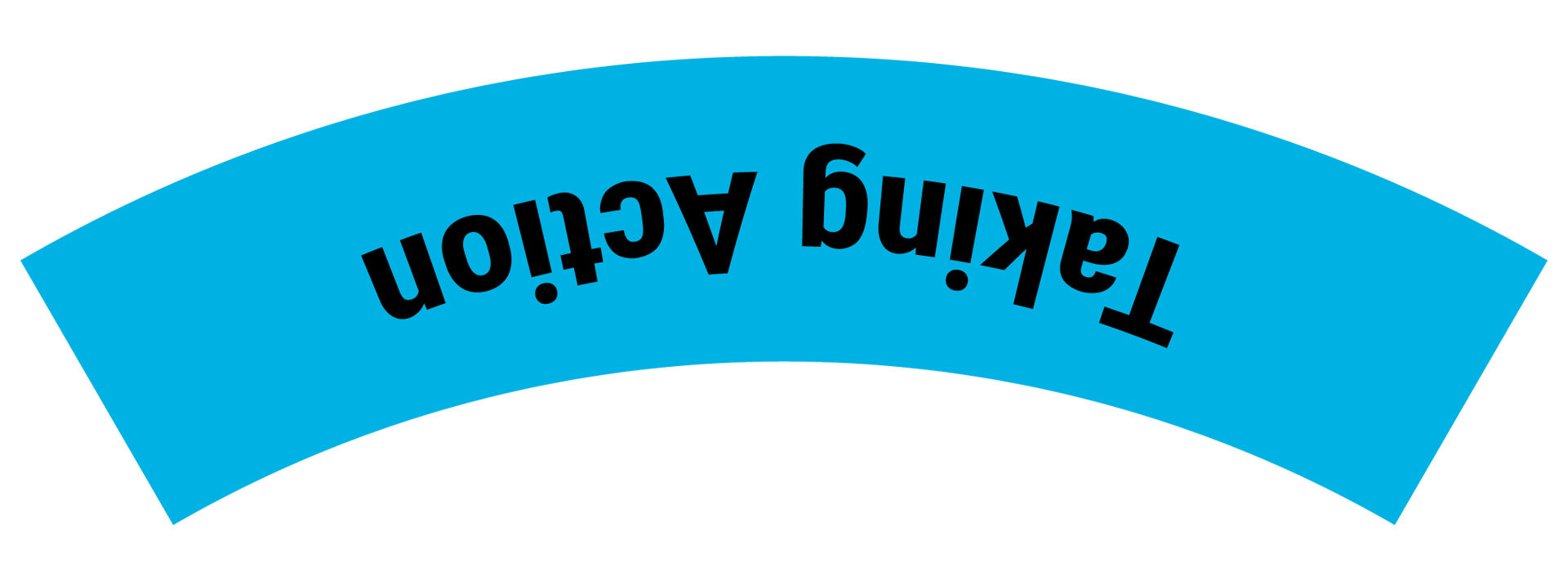 Taking Action