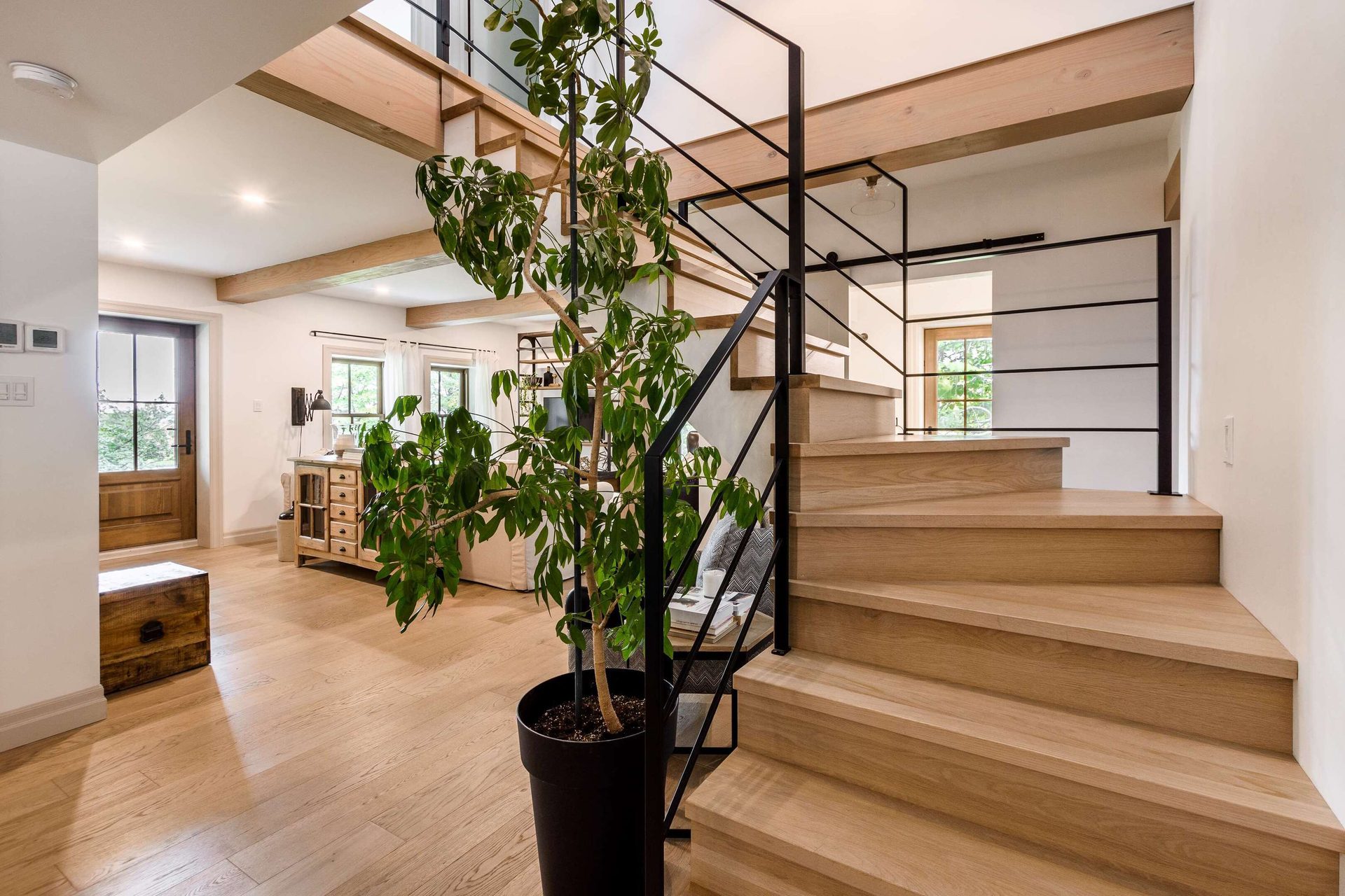 Plant, Flowerpot, Houseplant, Wood, Fixture, Floor